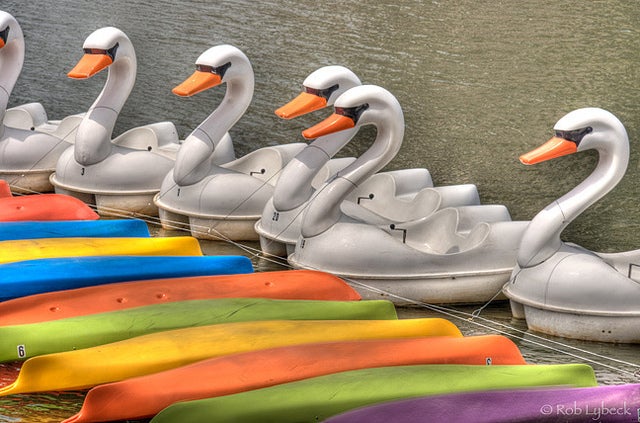  Did you paddle at Penn's Landing? | 'Peddle Powered Patterns' | Rob Lybeck, Eyes on the Street Flickr Group