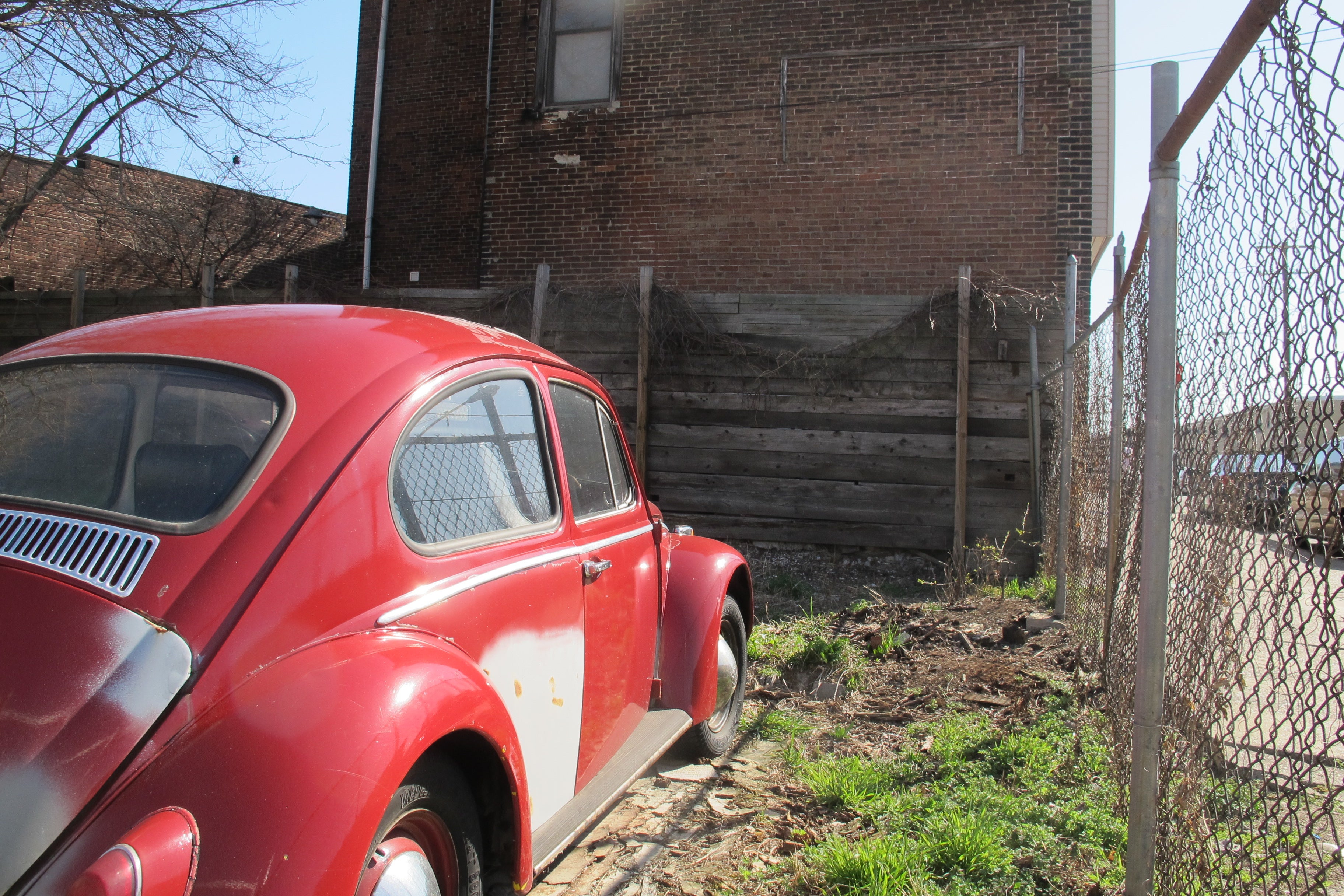 Bug on a vacant property in Point Breeze.