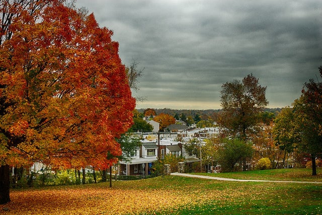 Gorgas Park, Roxborough on October 26 | Gary Reed, Eyes on the Street Flickr group