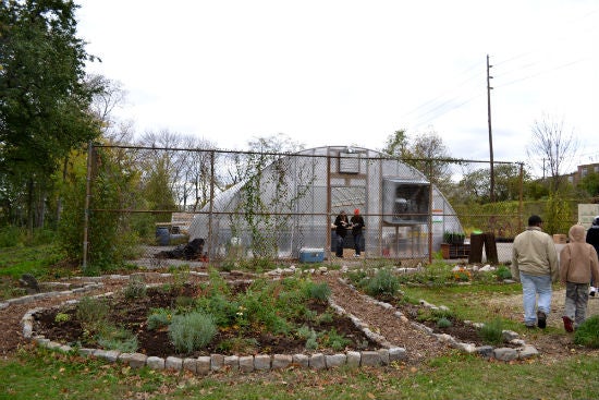 Bartram's Farm grew approximately 60,000 transplants in its greenhouse for the PHS City Harvest Program.