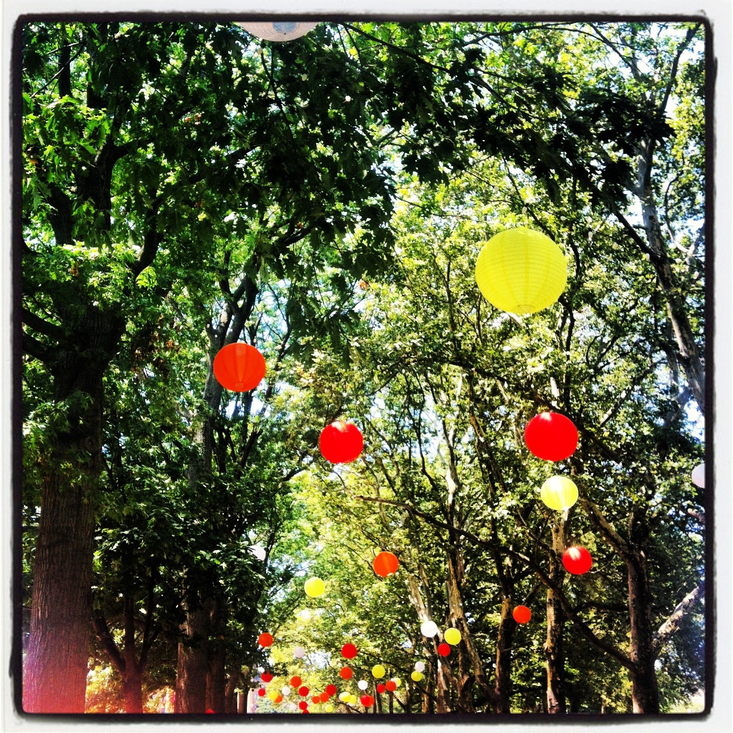 Lanterns at The Oval