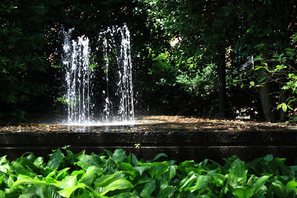 Louis' Fountain, Photo courtesy of Phillytrax