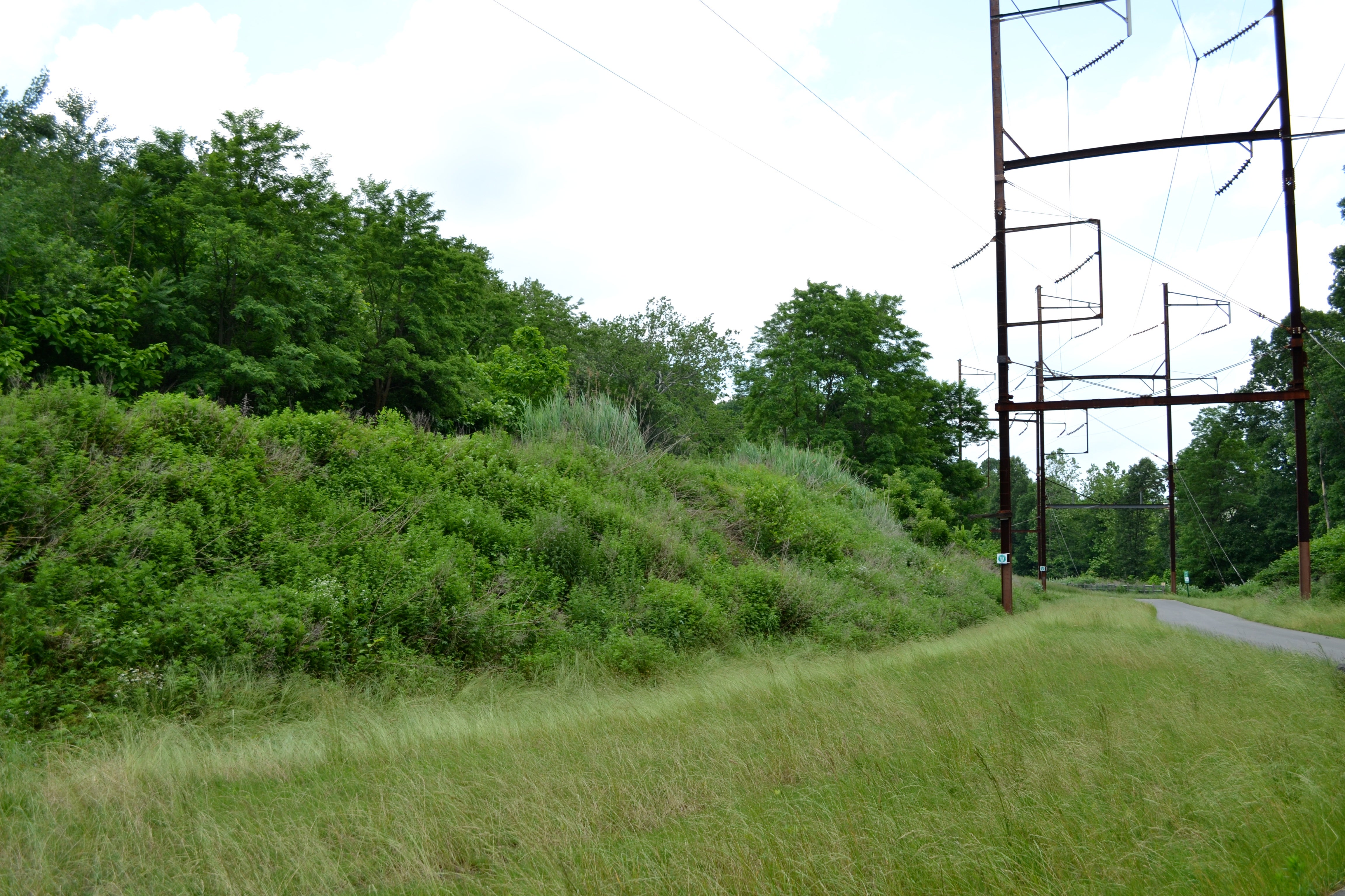 Meadow gross meets a brush covered hill just after the trail passes between the two cemeteries