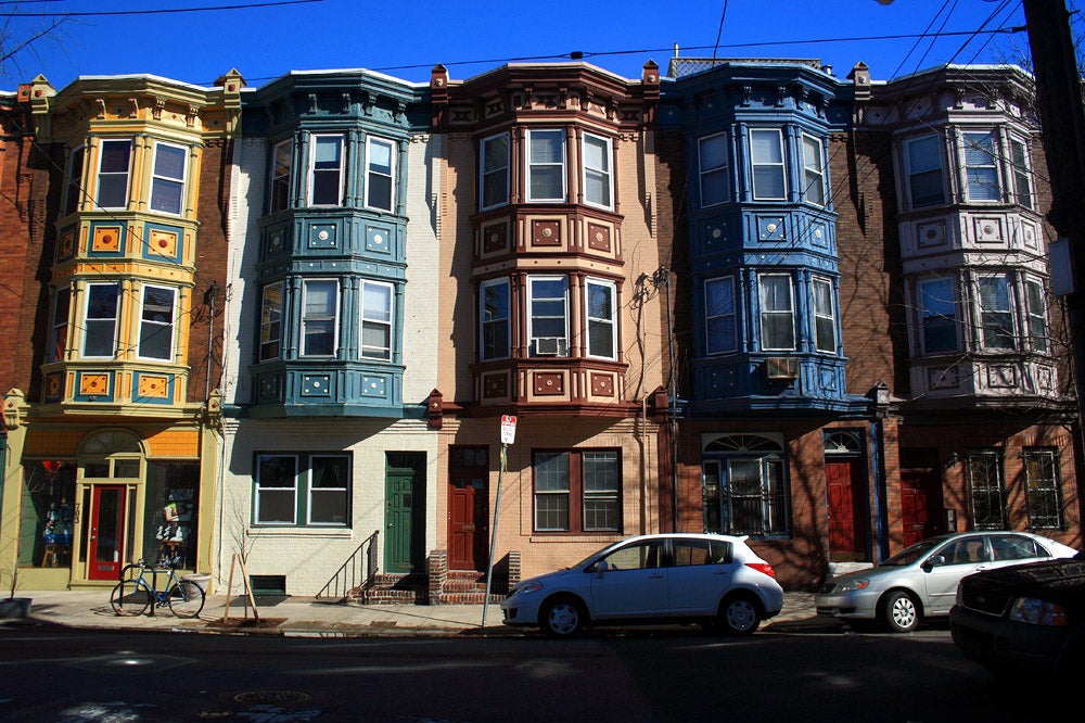 painted ladies