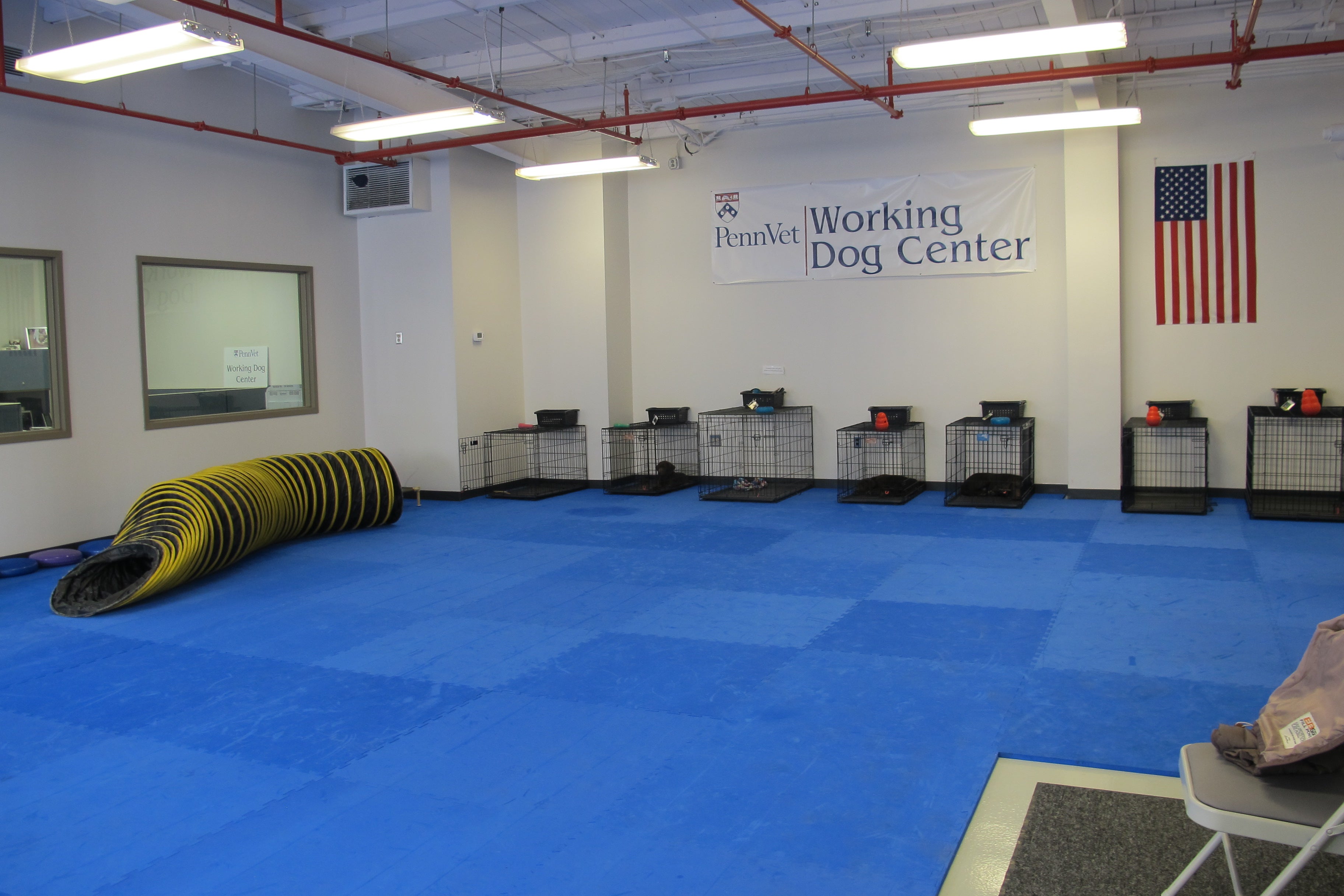 Penn Vet's Working Dog Center's main room