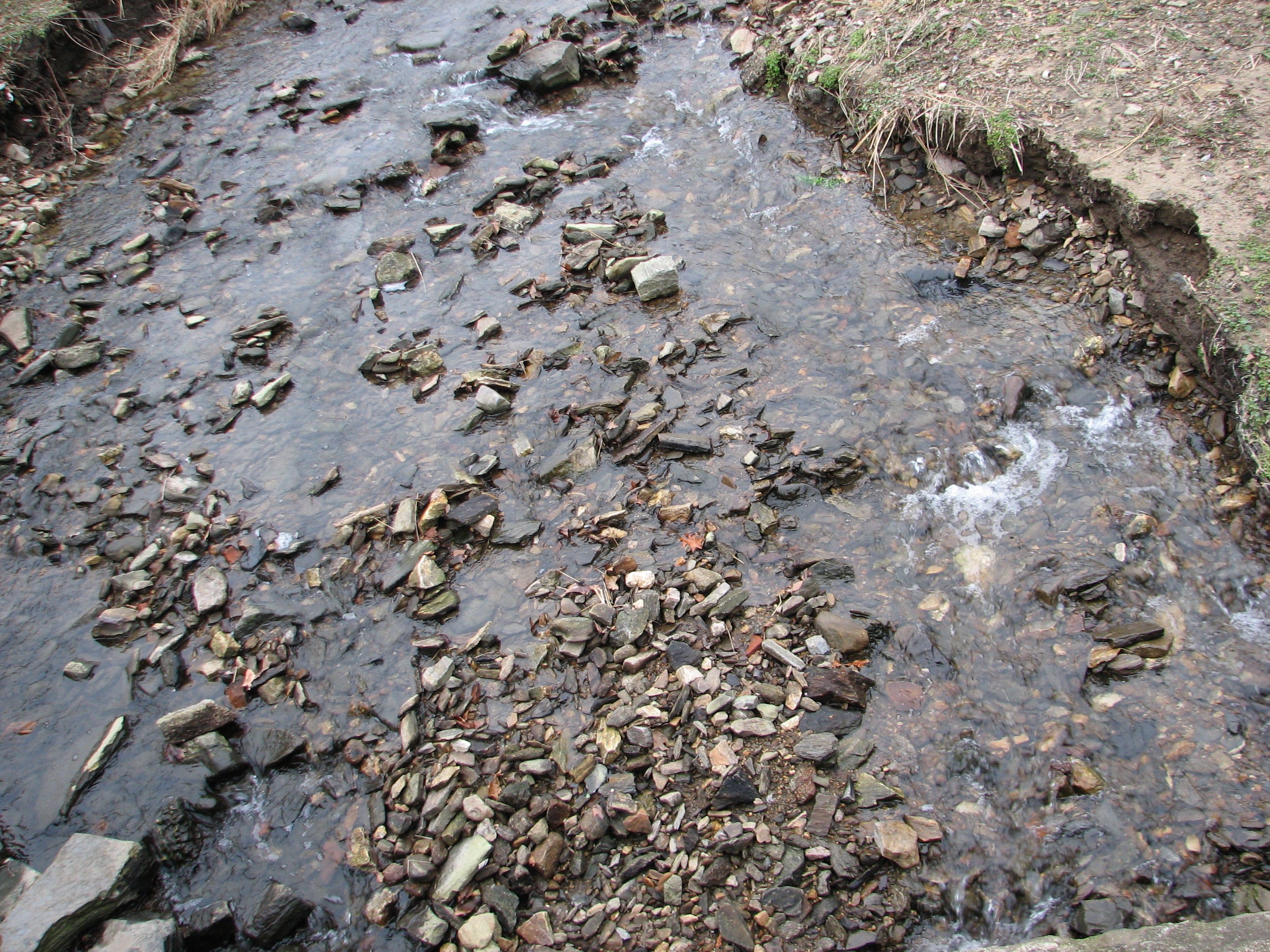  Rocks in the West Branch 