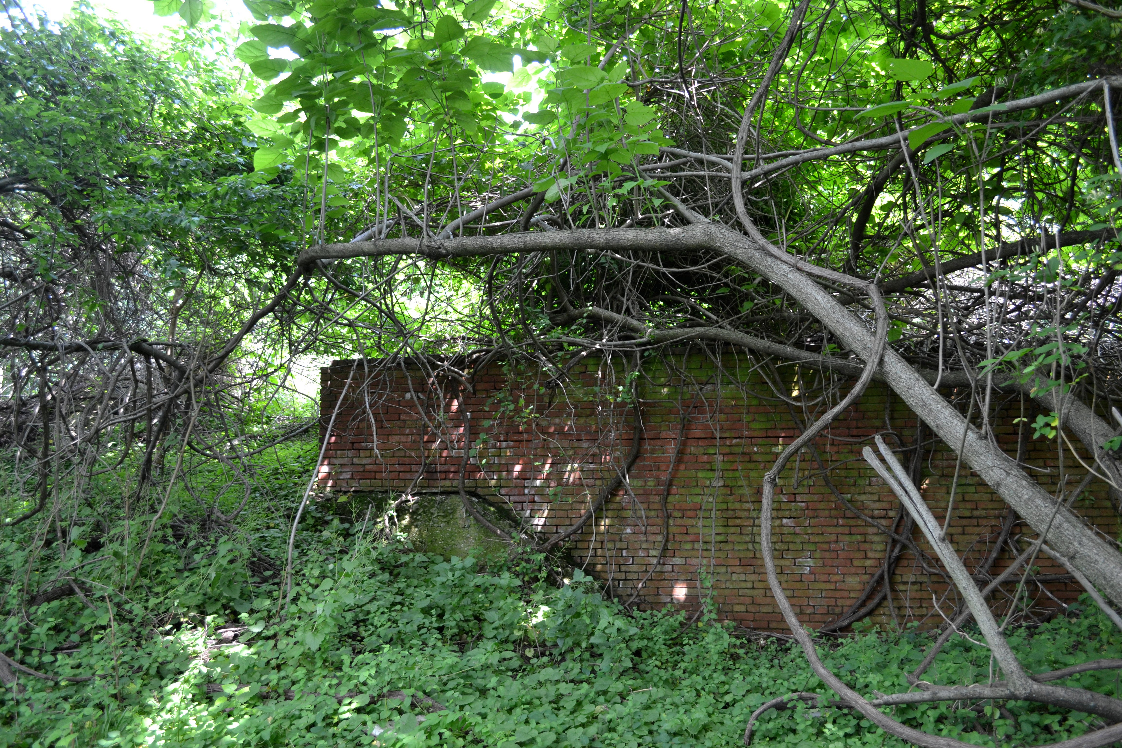 Ruins at High Battery, Hidden City Festival