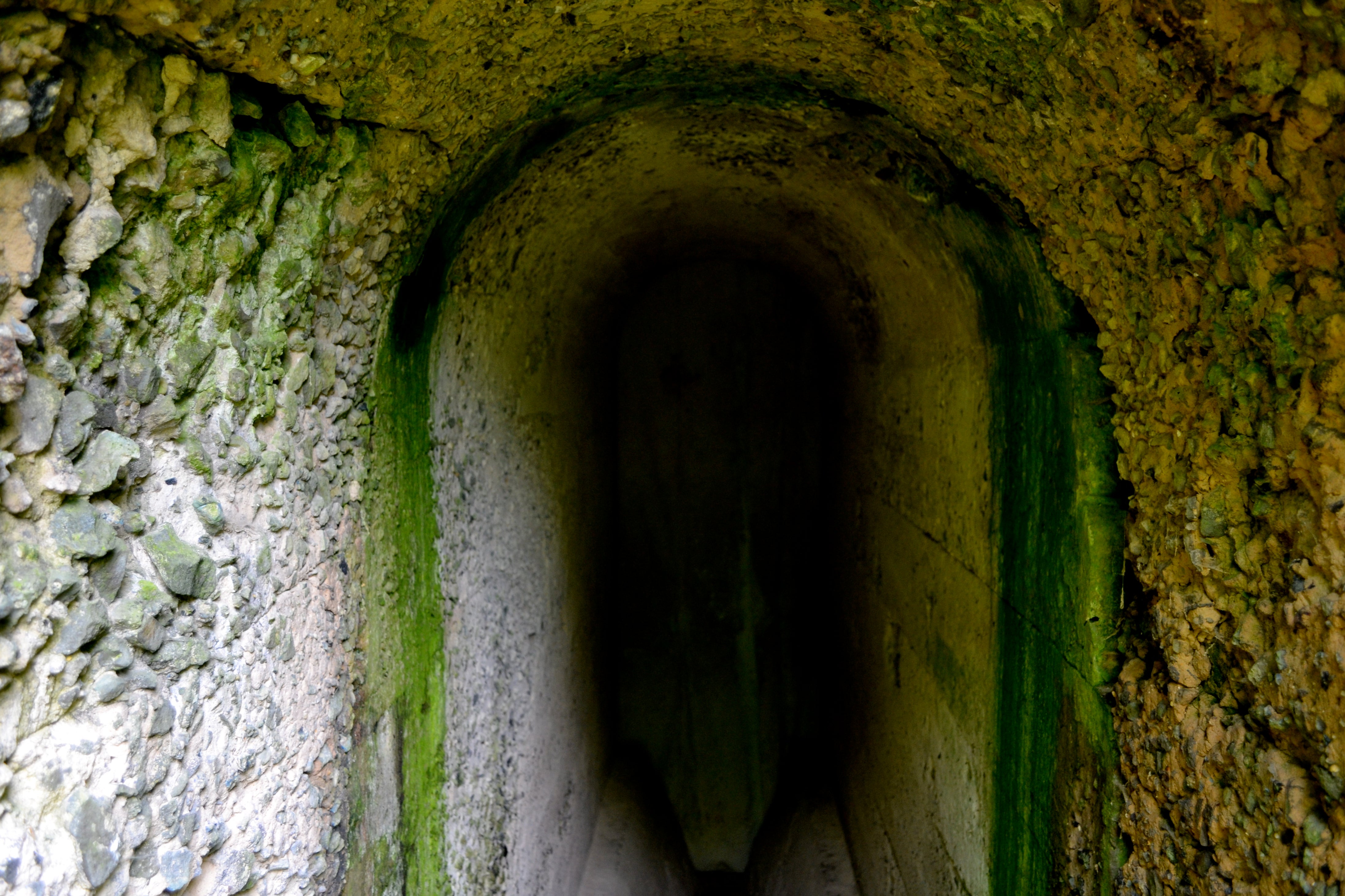 Ruins at High Battery, Hidden City Festival