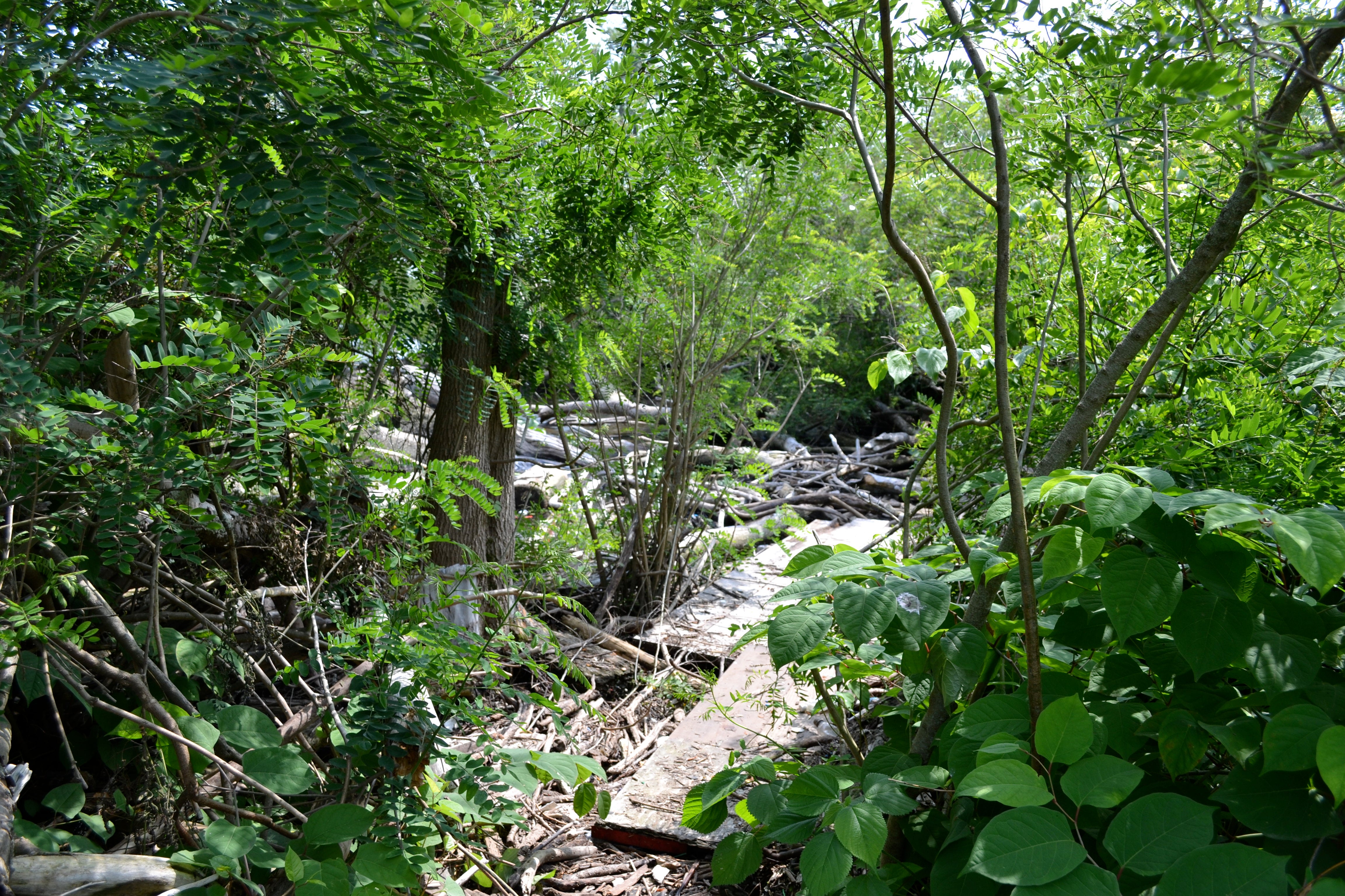 Ruins at High Battery, Hidden City Festival