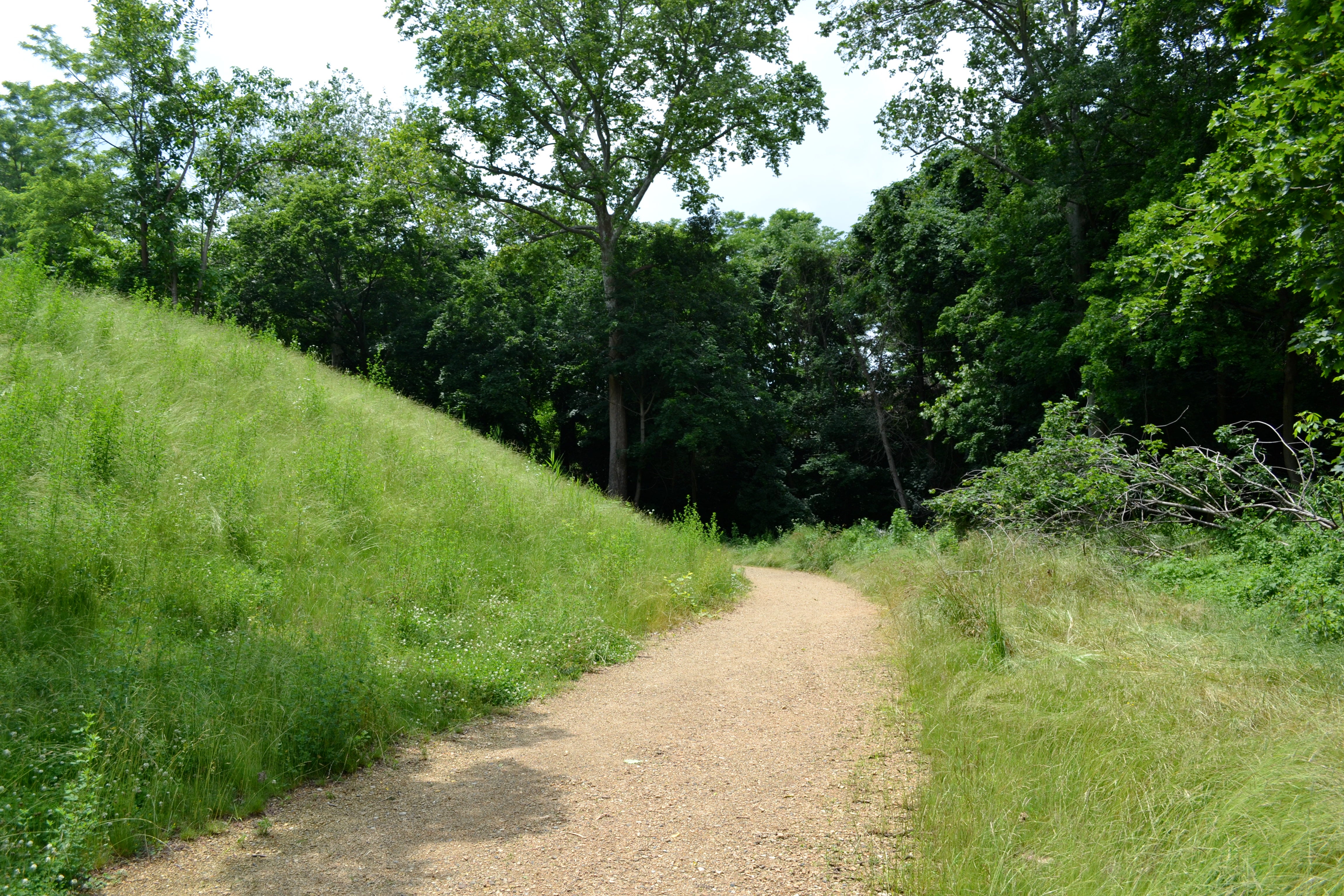Some of the landscape features the nature path wraps around are man made, like this small mound