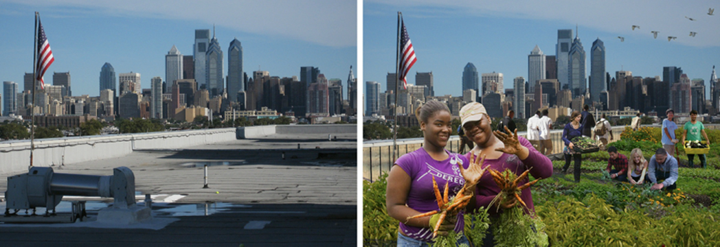 South Philly High rooftop farm