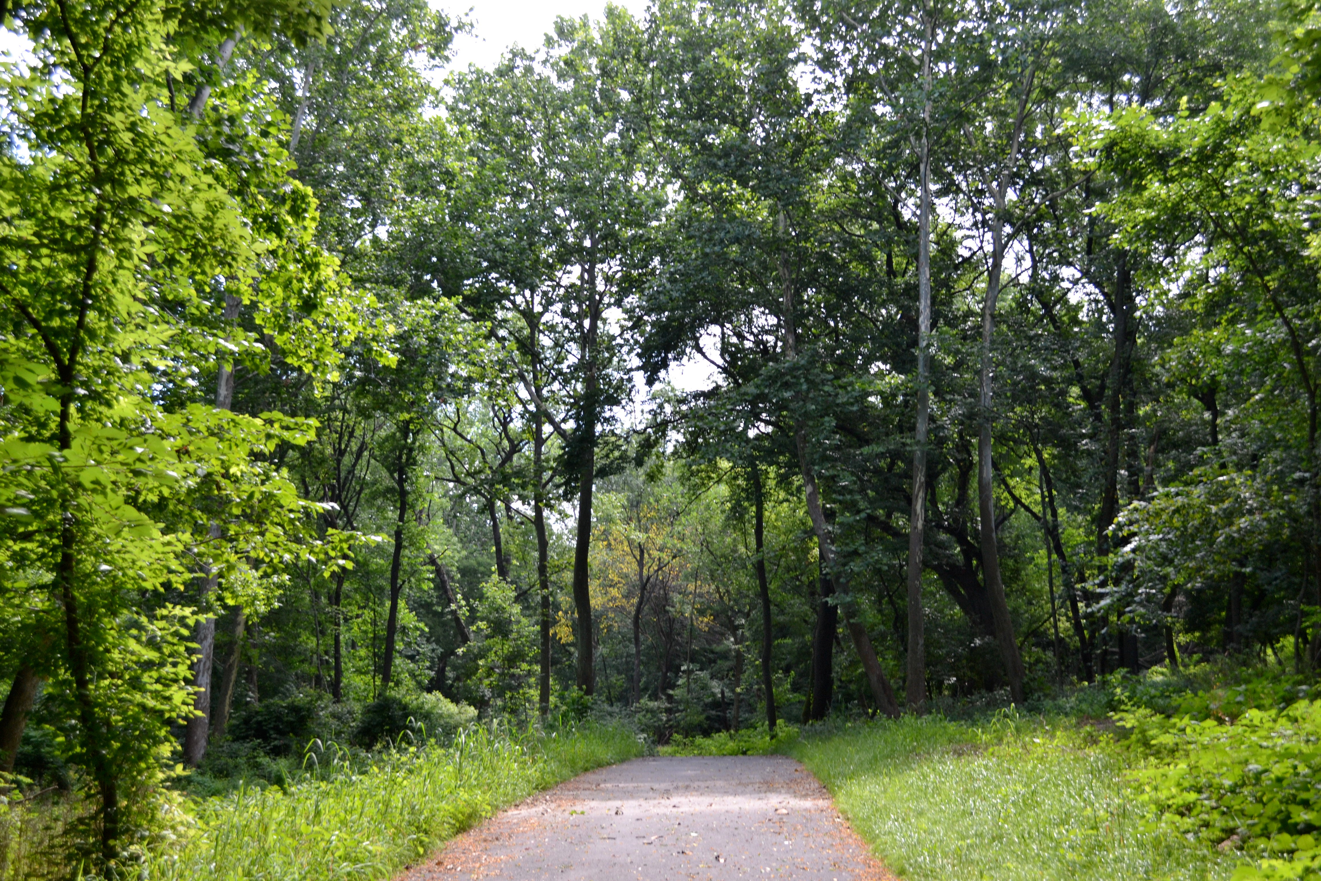 Tacony Creek Trail