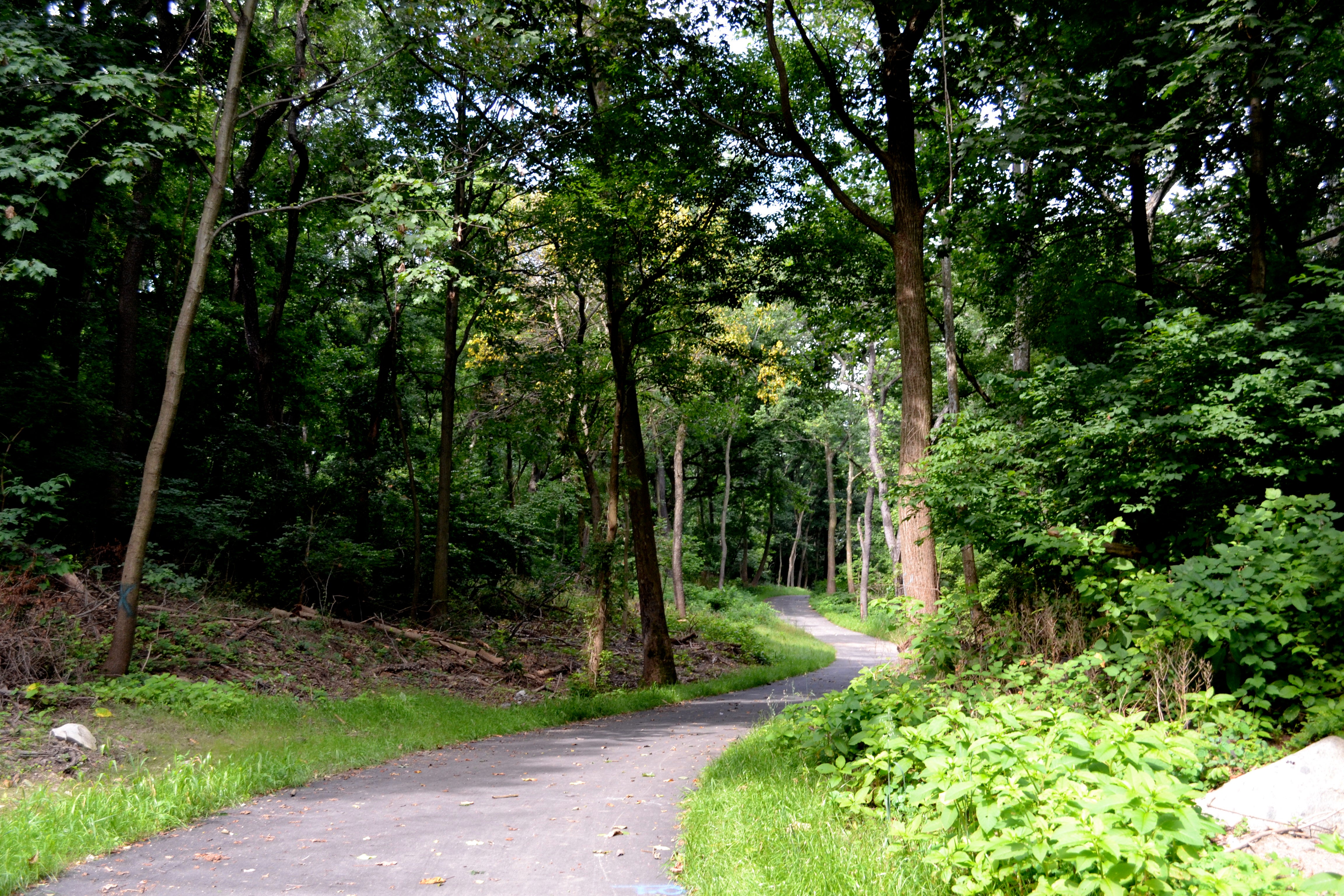 Tacony Creek Trail