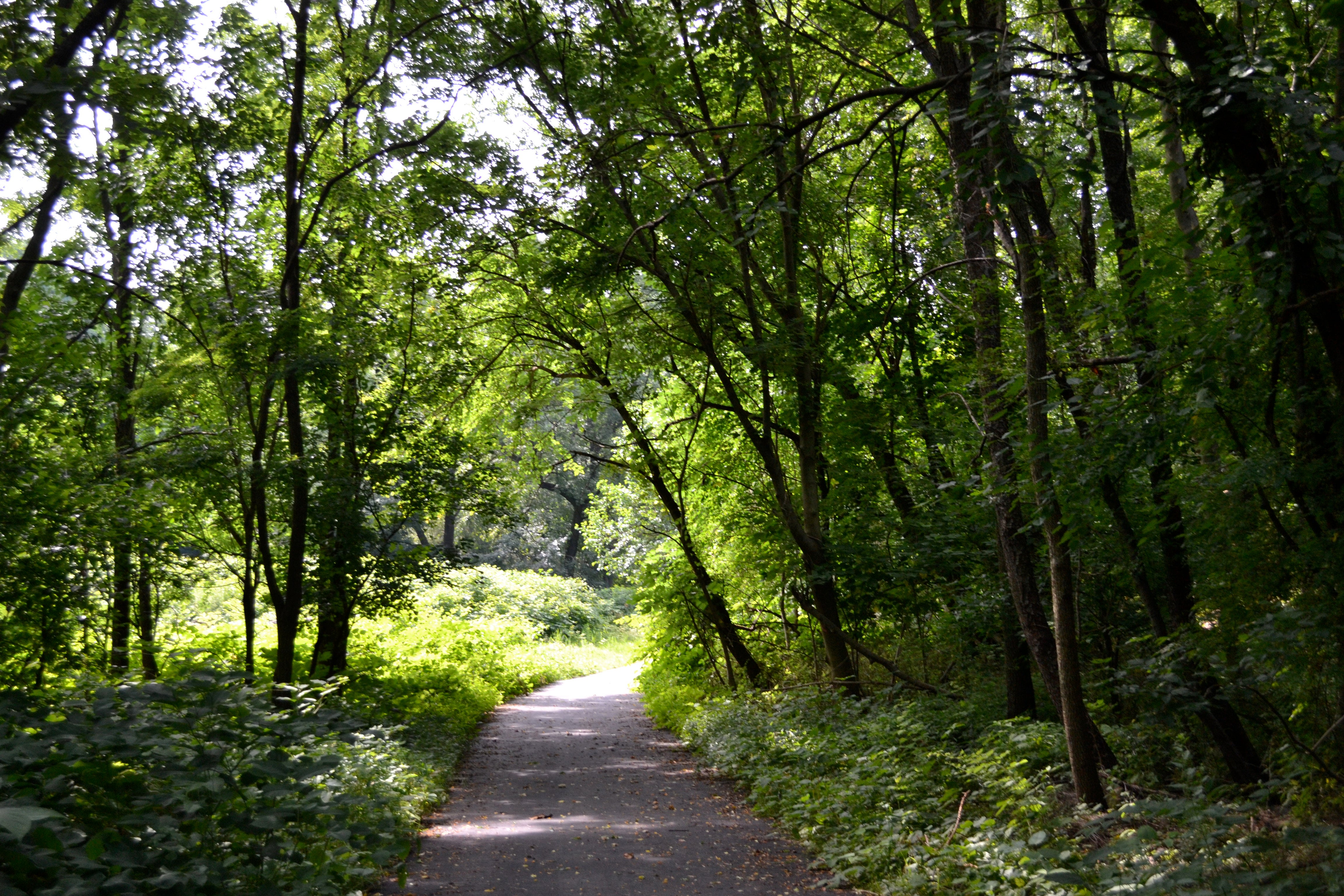 Tacony Creek Trail