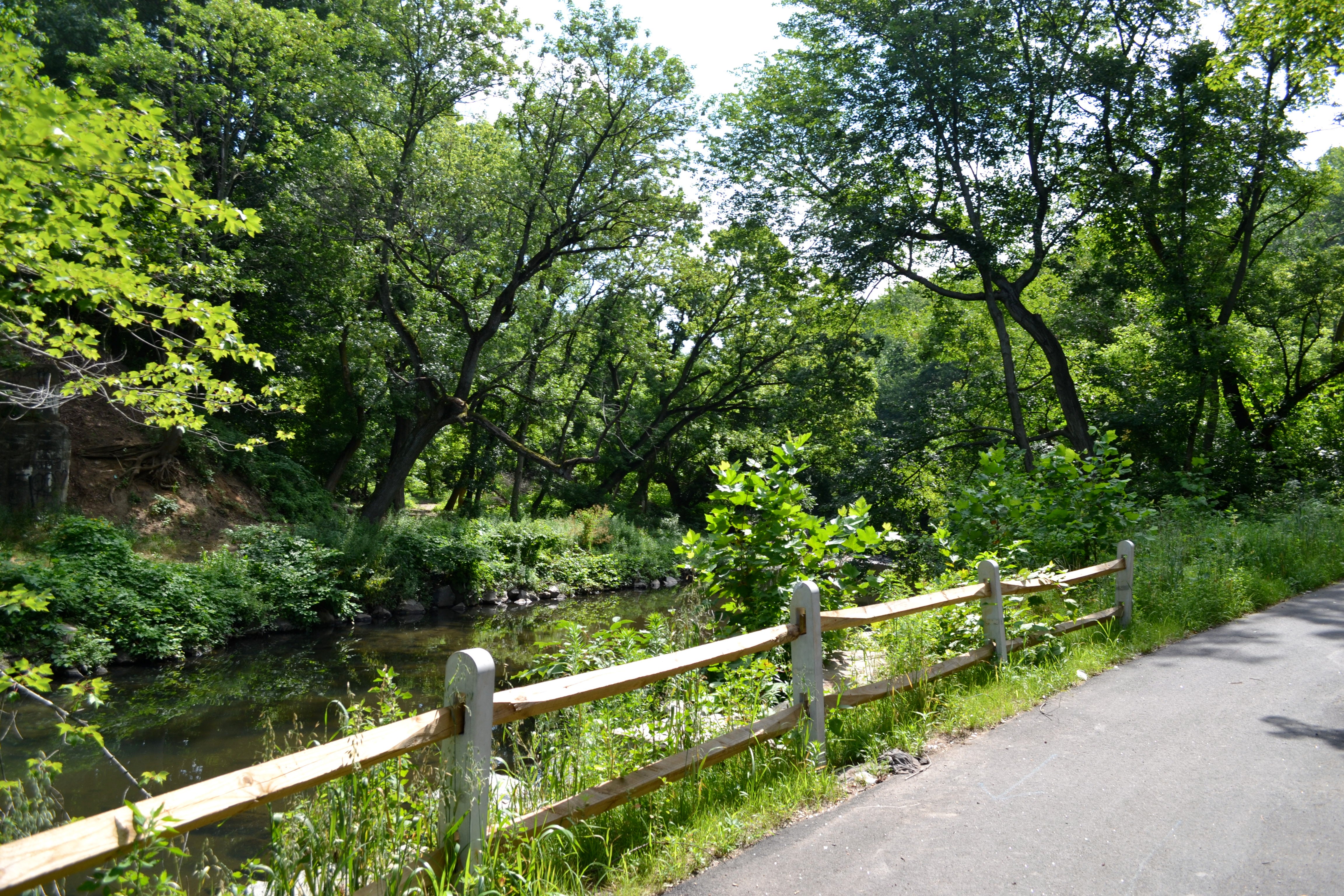 Tacony Creek Trail