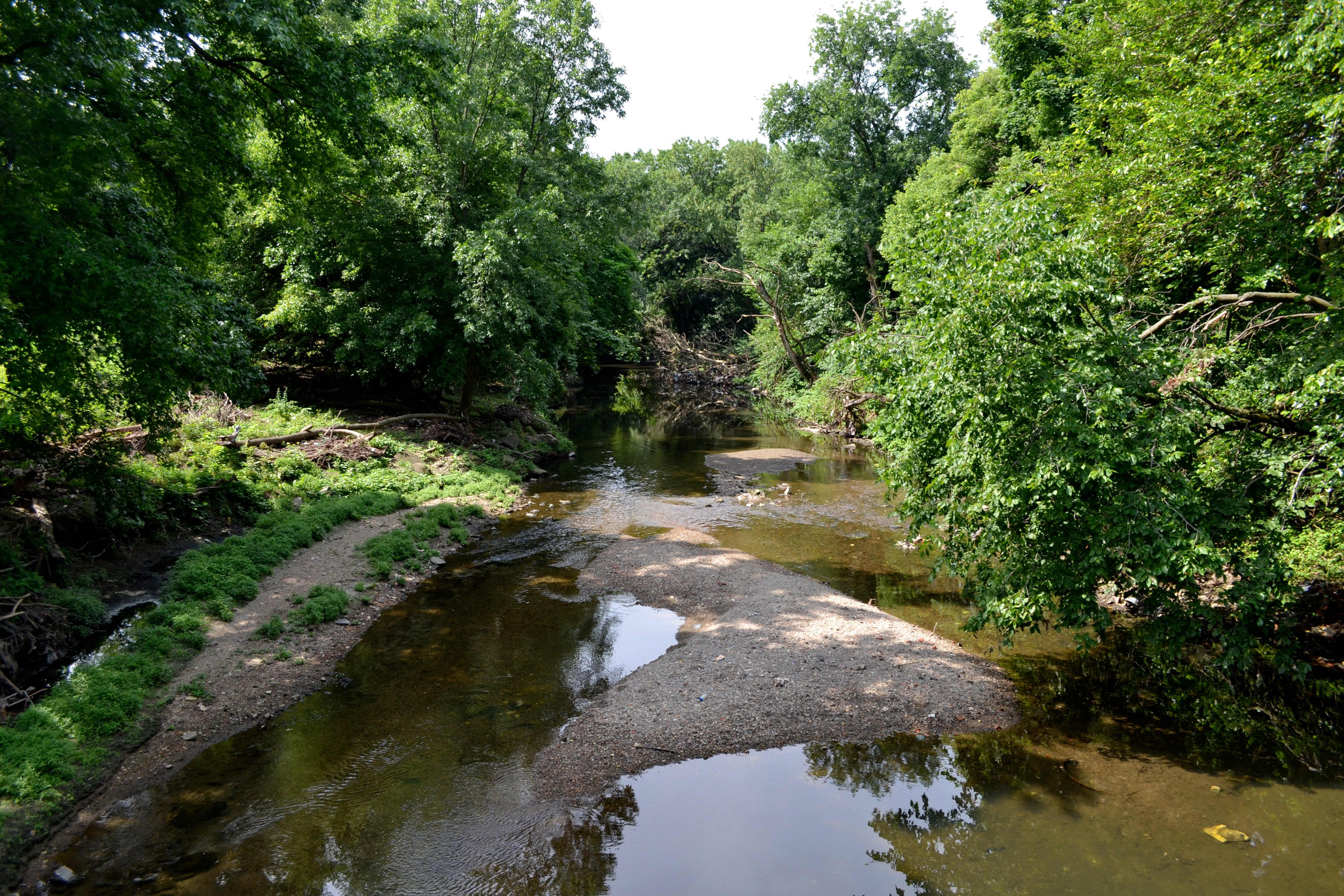 Tacony Creek Trail, Sediment is the worst polluter of the Tacony Creek today