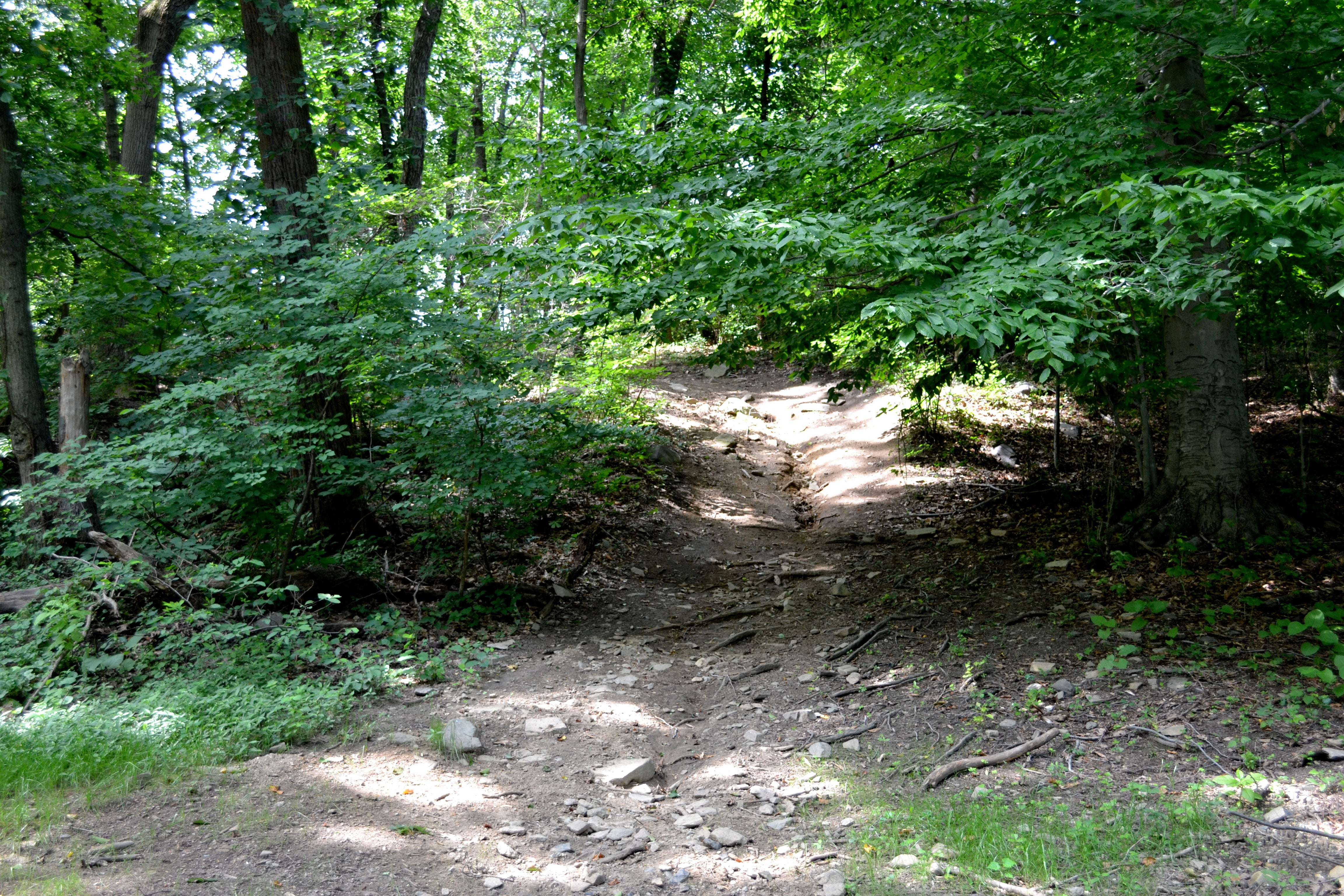 Tacony Creek Trail, Though some ATV trails are still visible, law enforcement is cracking down on illegal ATV use