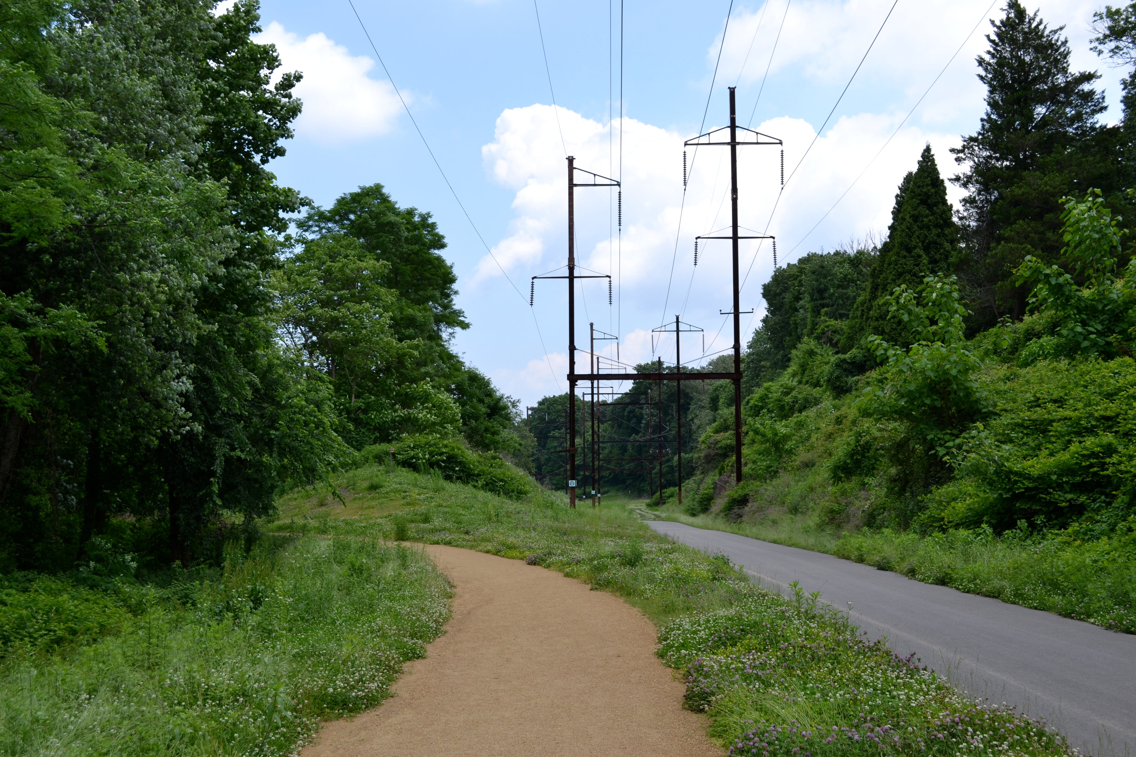 The dirt path, also known as the nature trail, branches off from the paved trail on its own meandering course