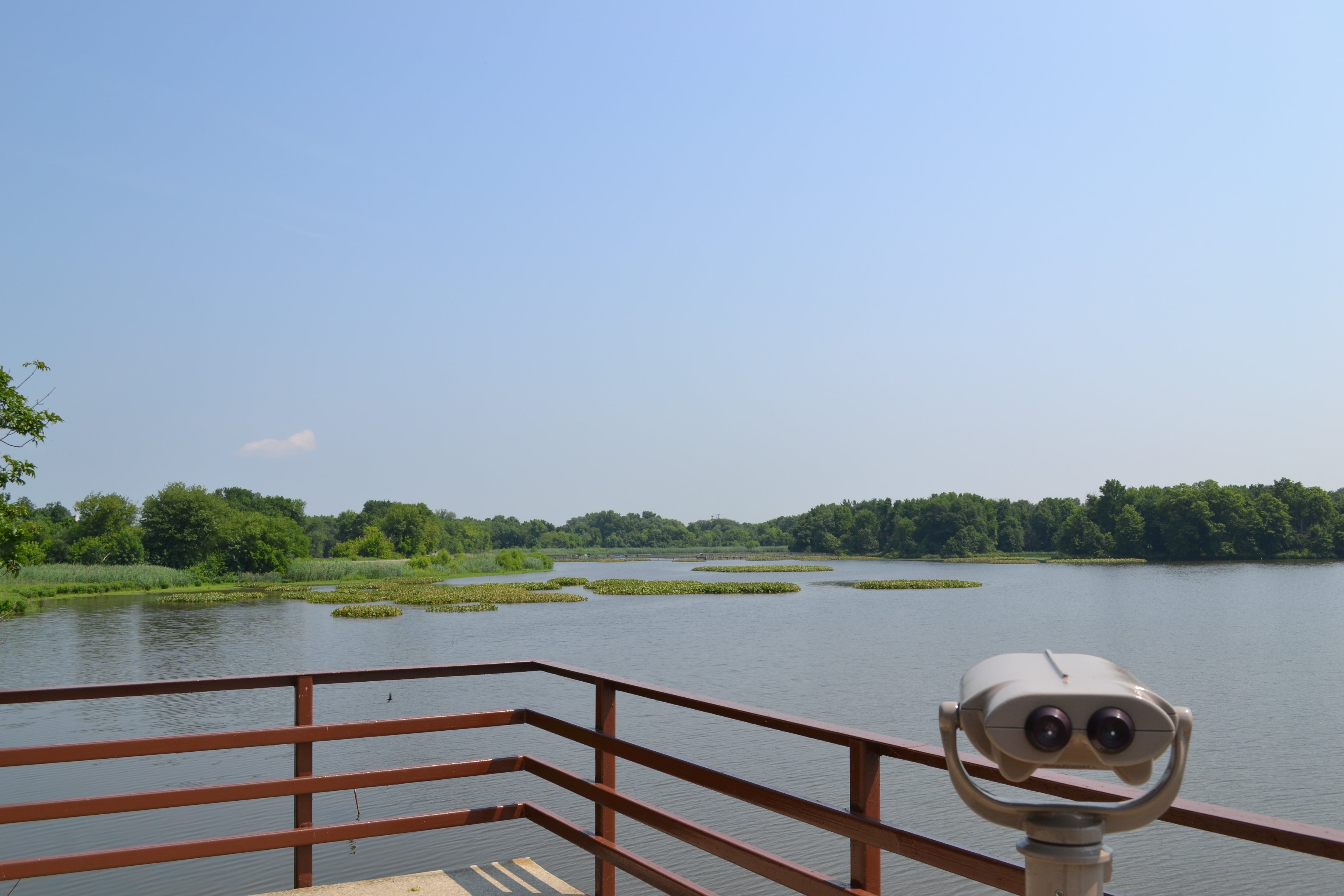 The lookout tower had permanent binoculars. Visitors can also borrow binoculars from the visitors center