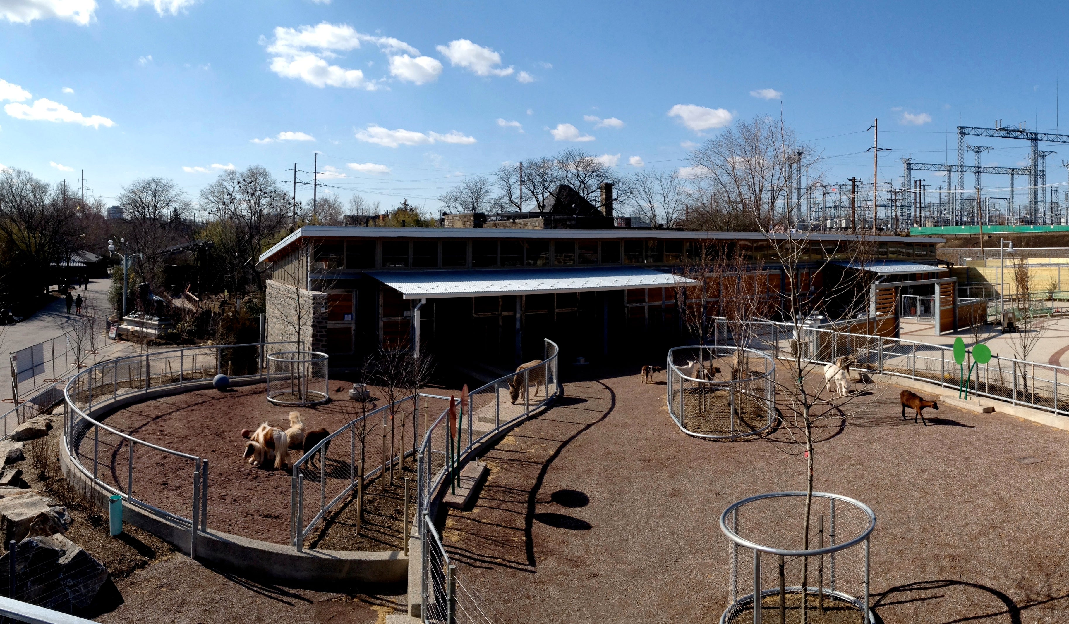 The new children's zoo design embraces the zoo's animal freedom strategy, Photo Courtesy of SMP Architects