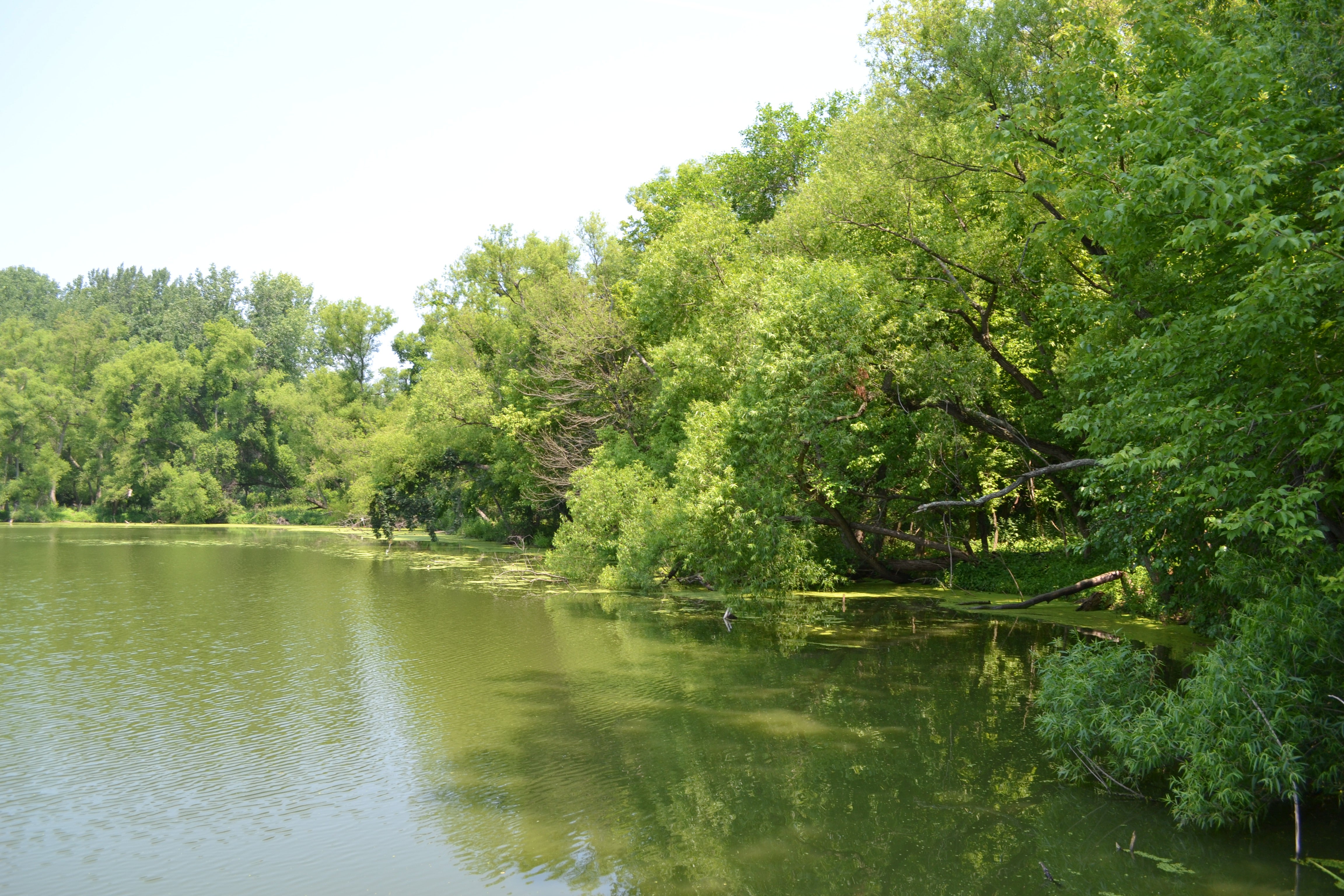 There are small, quiet ponds with access for fishing and/or bird watching
