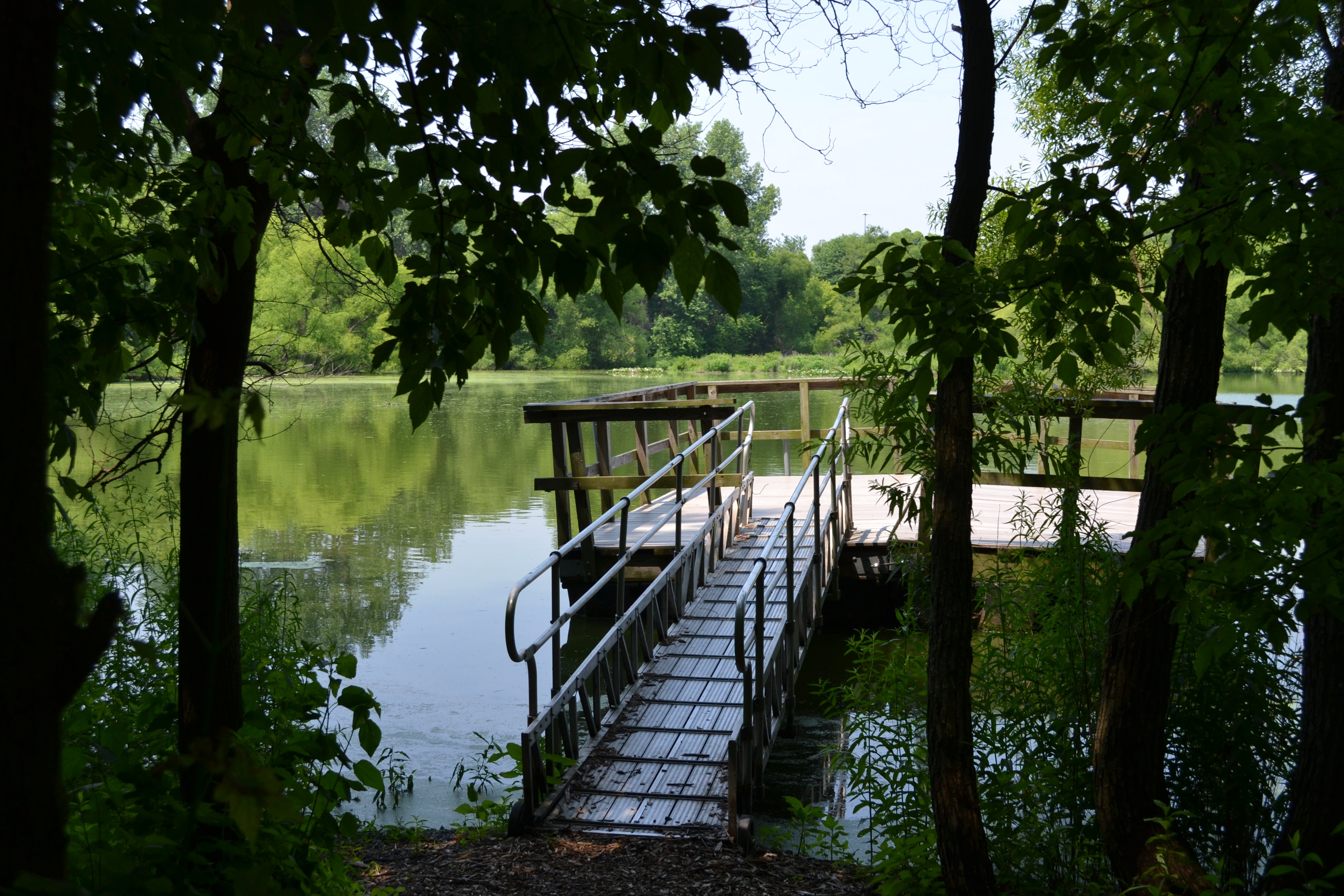 There are small, quiet ponds with access for fishing and/or bird watching