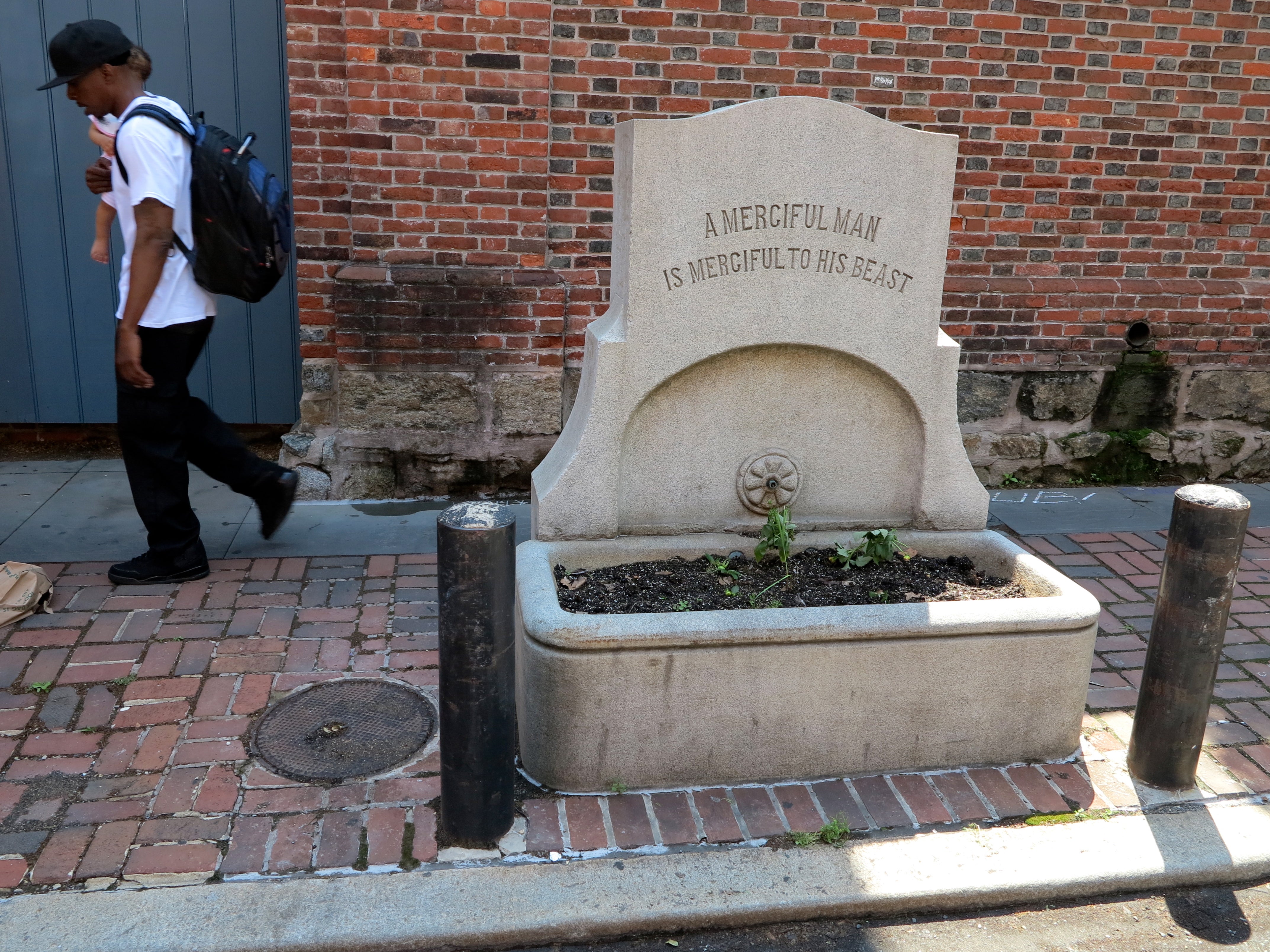 This trough and fountain outside Pennsylvania Hospital is more planter than water feature these days.