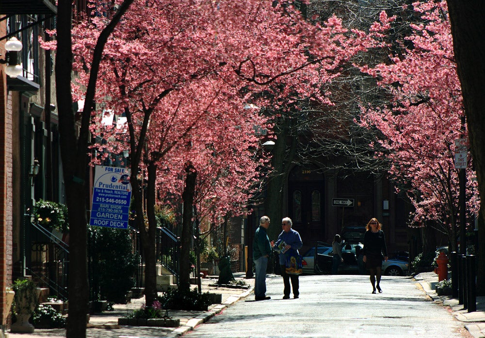 Van Pelt Street, Photo courtesy of Phillytrax