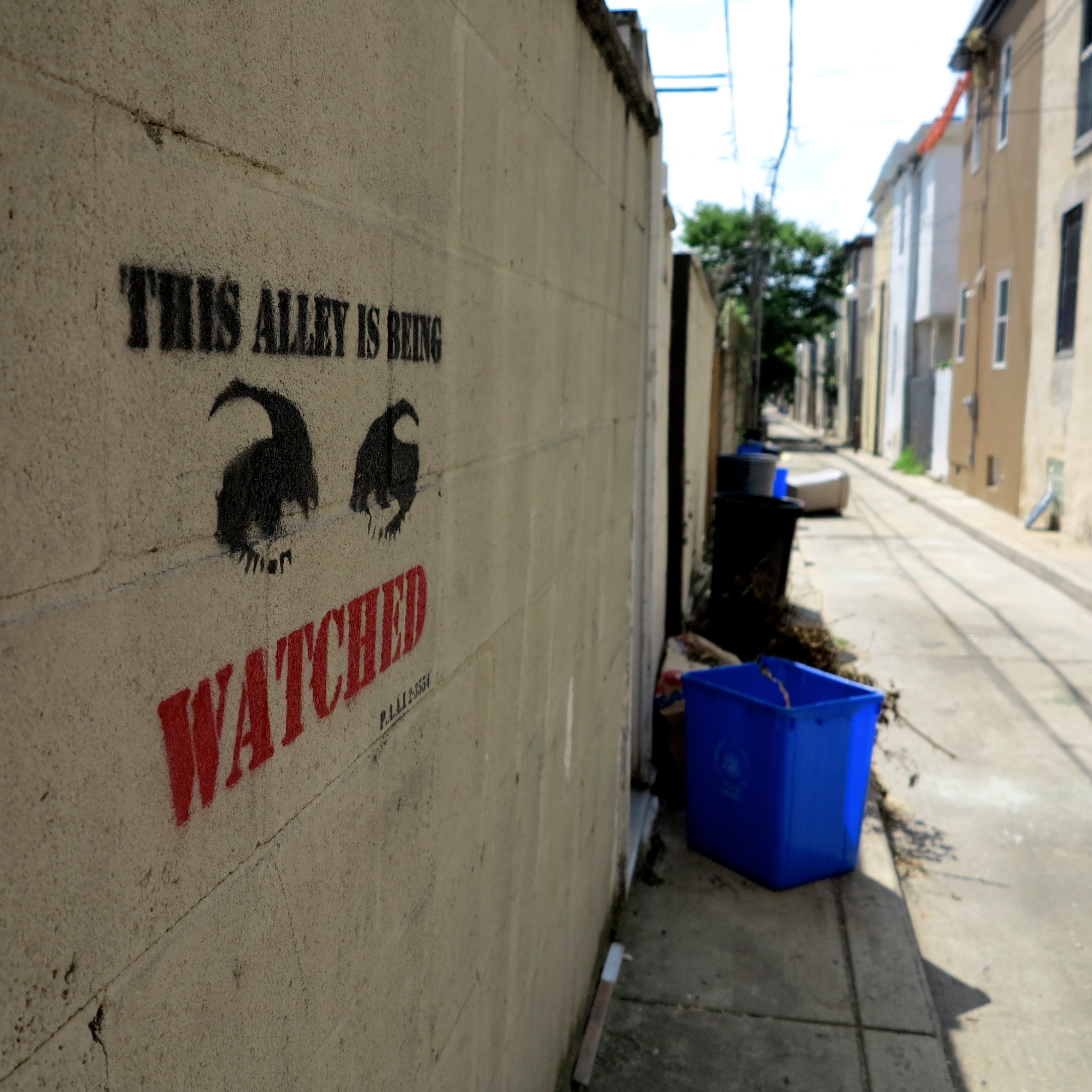 Watchful eyes over Norfolk Street, an alley in Southwest Center City.