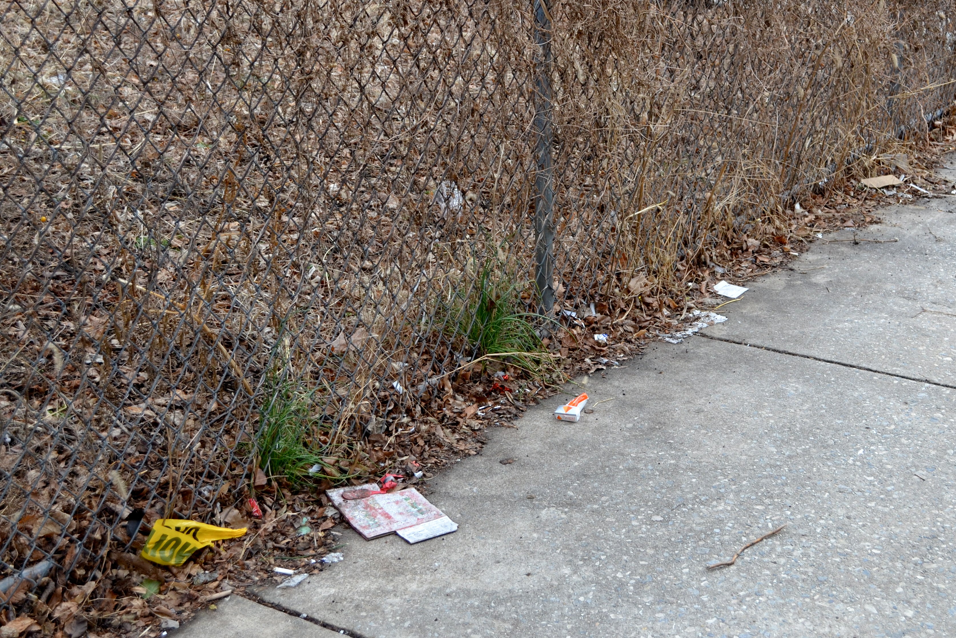 Wind catches litter along fence near Passyunk Ave