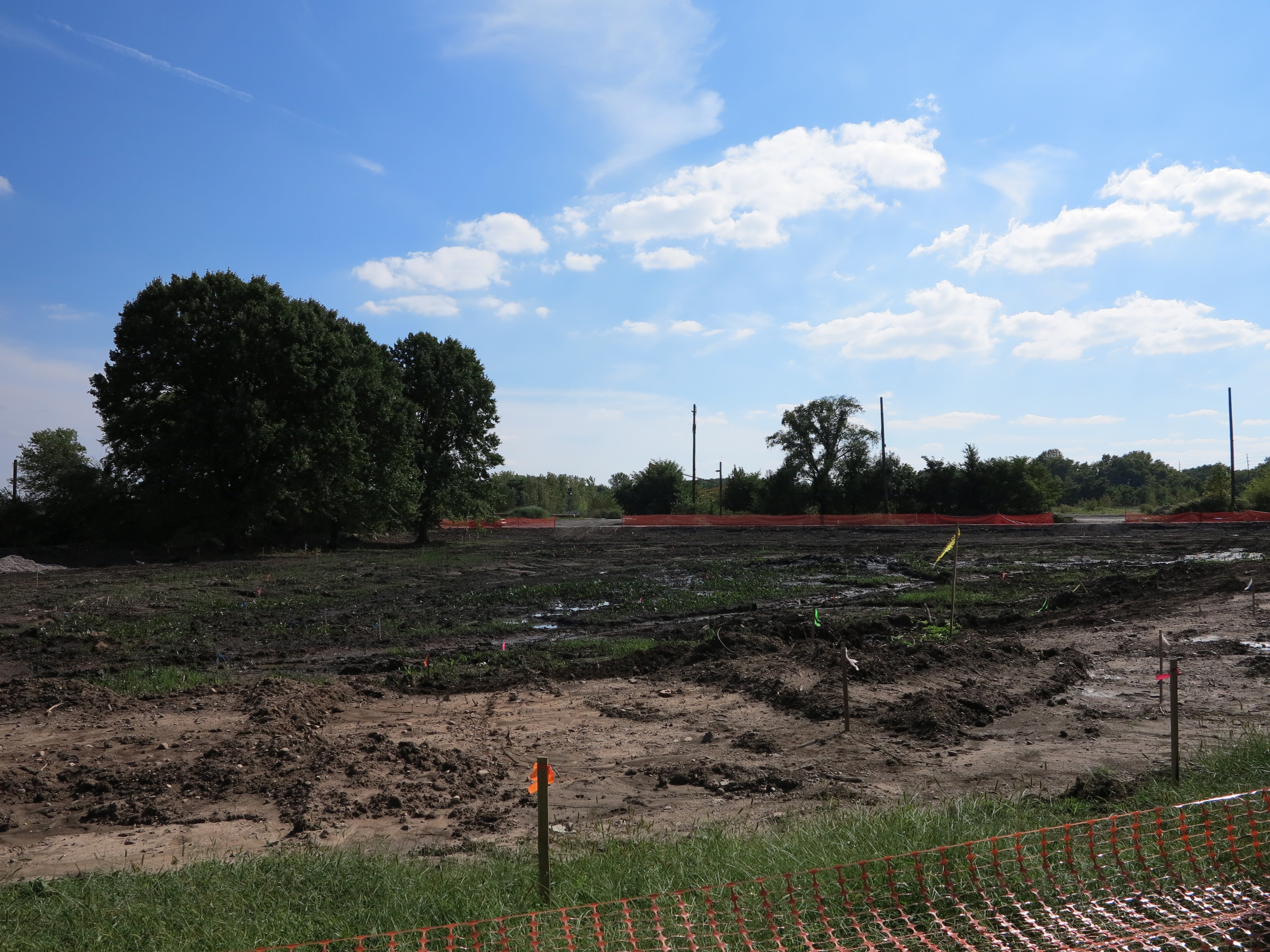 A temporarily clear view across the wetlands to 56th Street.