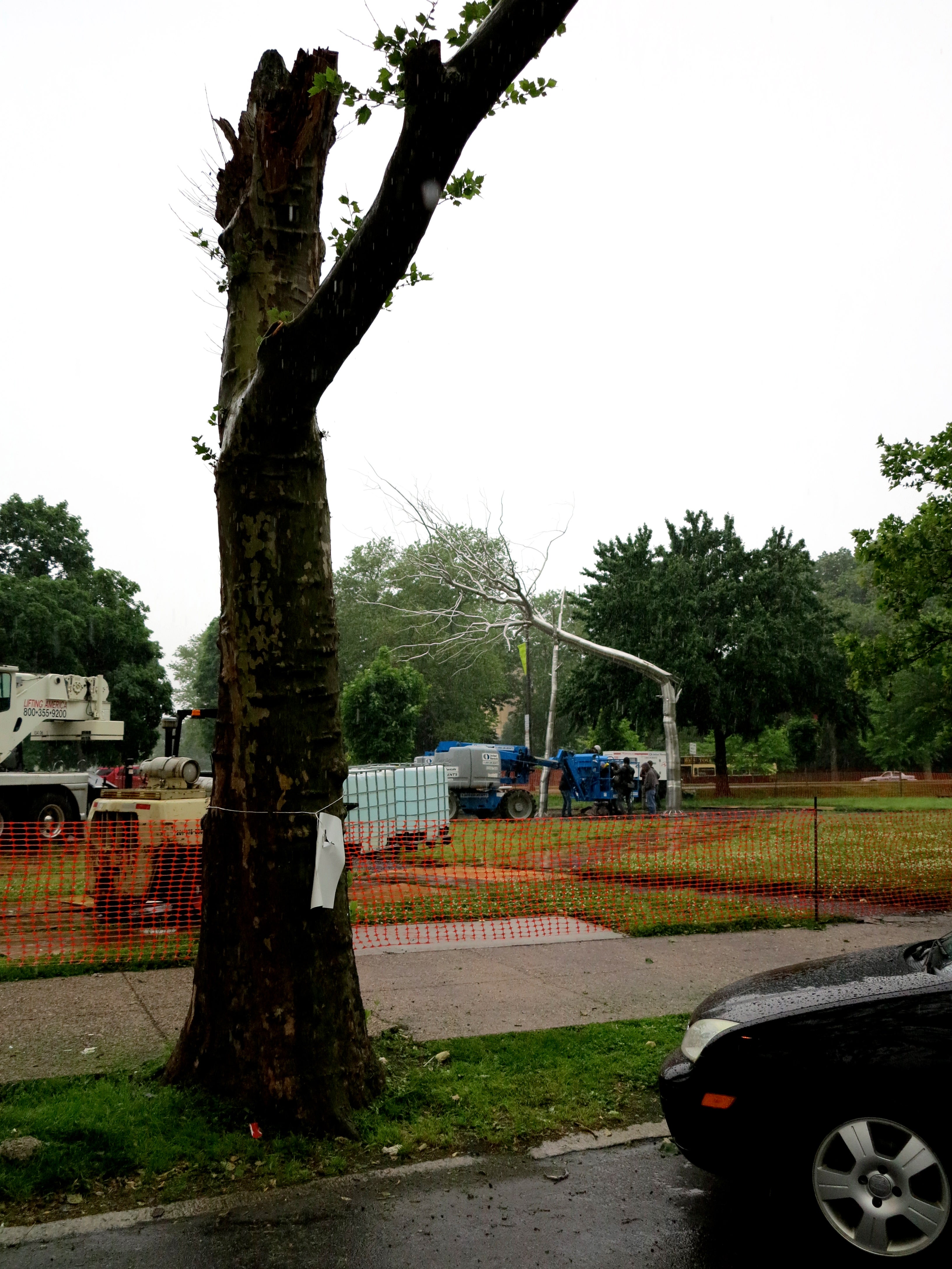 Broken tree meets dendroid, May 2014