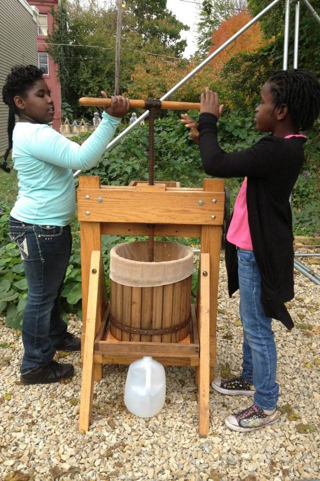 Cider pressing is a big feature at lots of Orchard Day events.