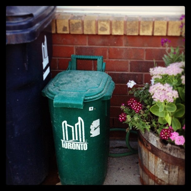 Curbside compost via Toronto's Green Bin program
