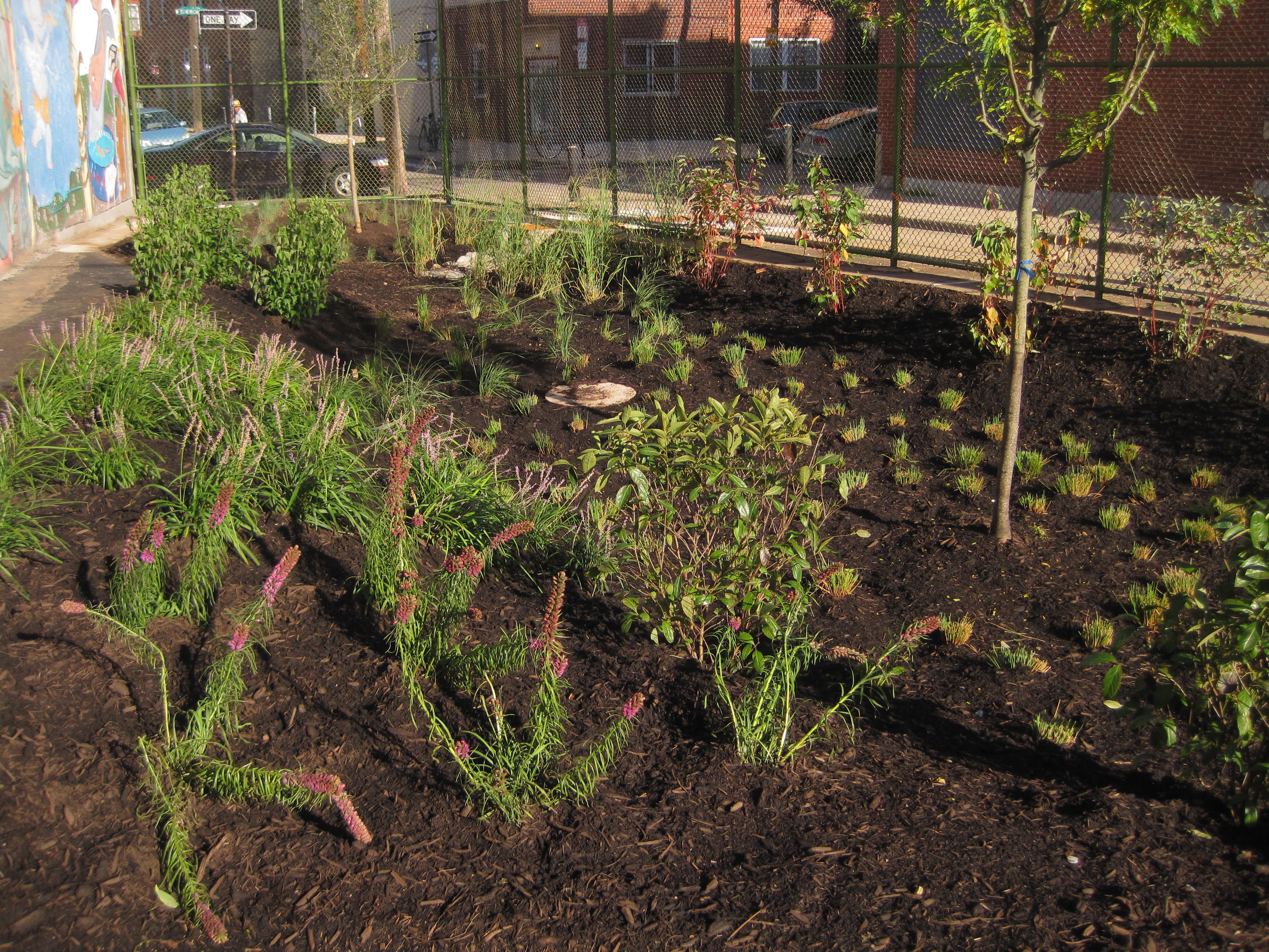 Green stormwater management at Nebinger School, Photo courtesy of Philadelphia Water Department