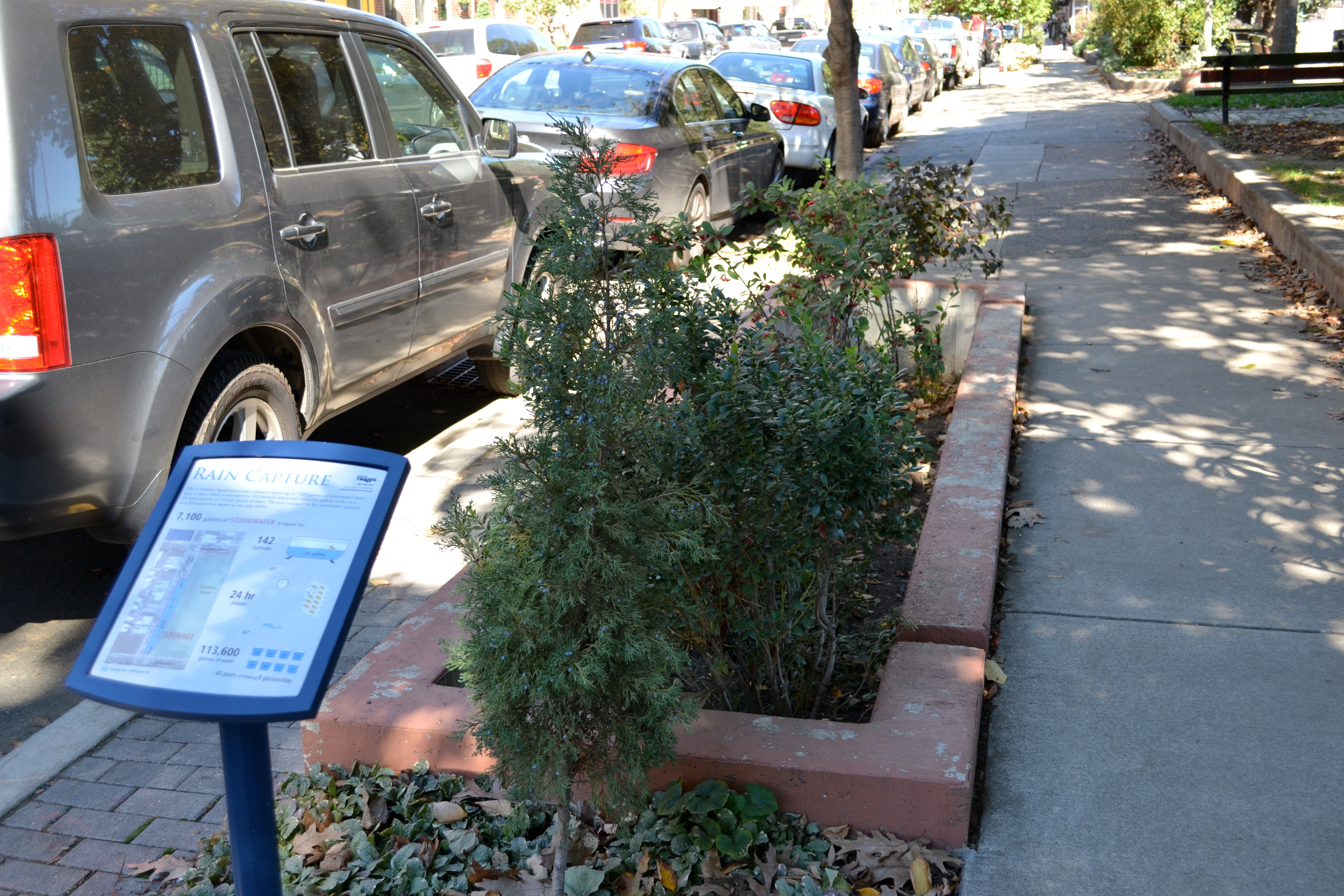 Green stormwater tree trench near Columbus Square Park