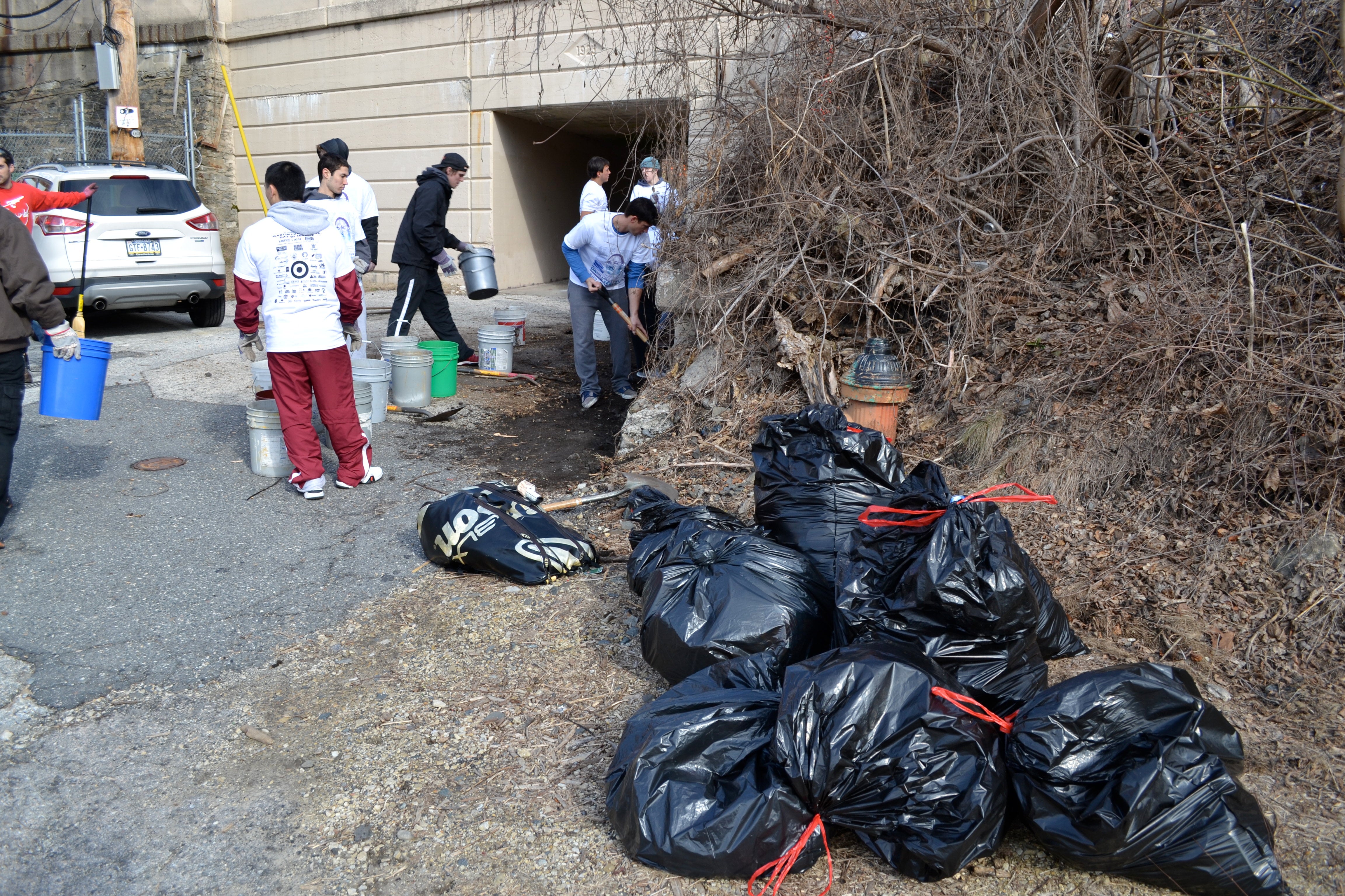 Ivy Ridge Green cleanup