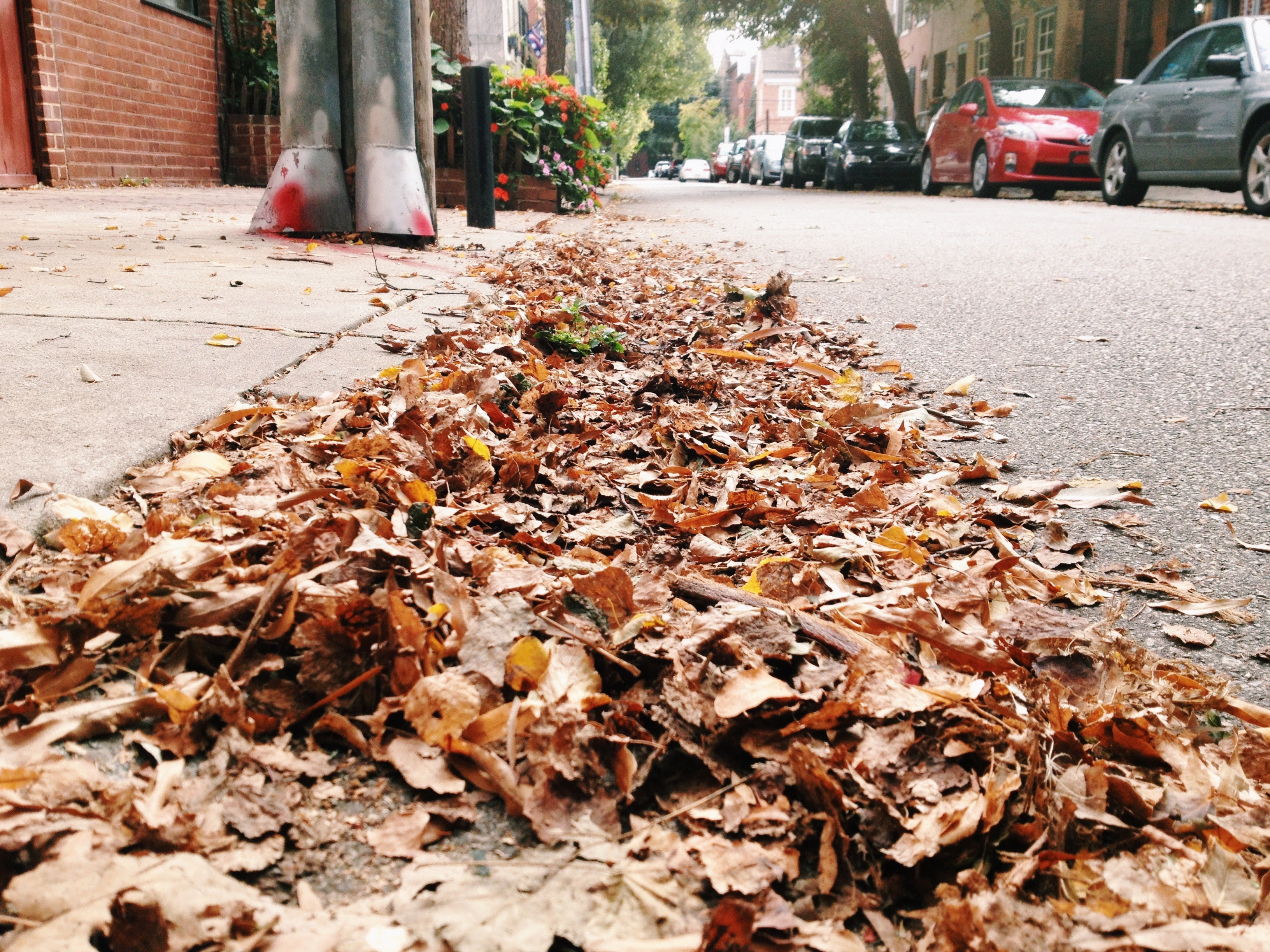 leaves gutter