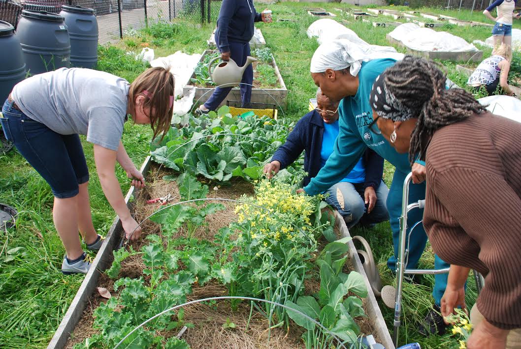 Mantua Peace Garden this spring, photo courtesy PHS