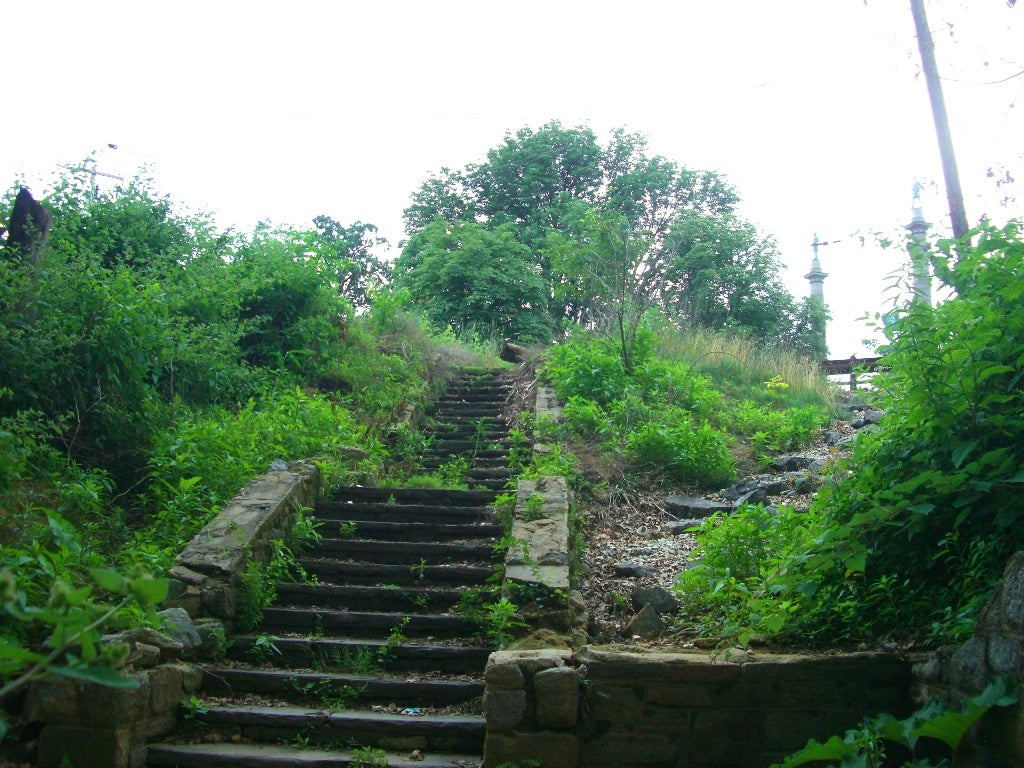 Steps that used to provide park access, but are overgrown