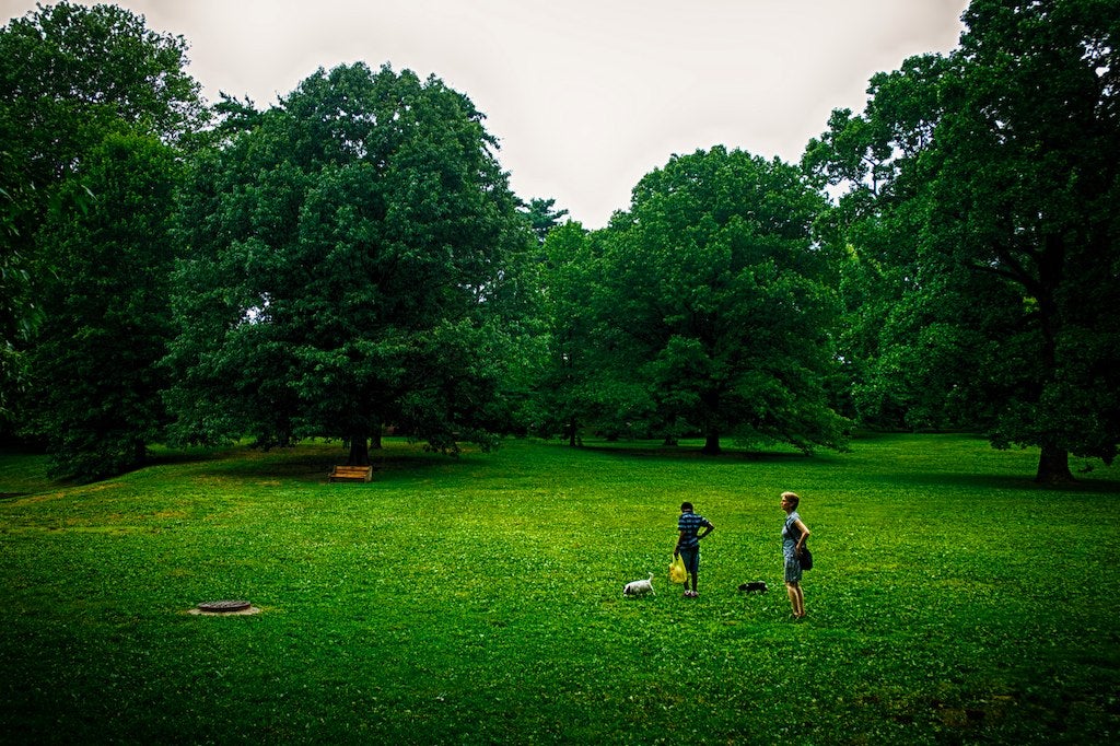 Pastorius Park, Photo by Gary Reed