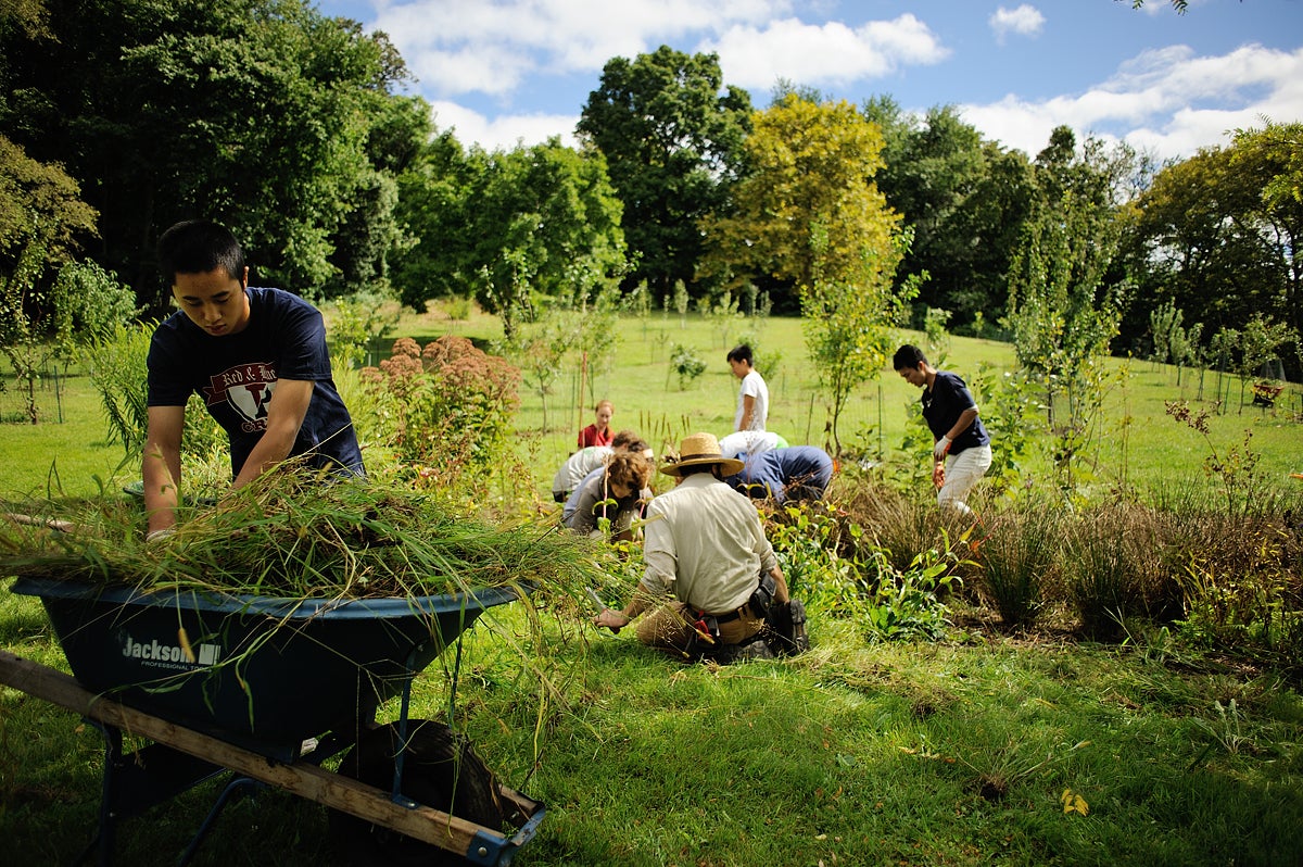 The Philadelphia Orchard Project plants at Bartram's Community Farm.