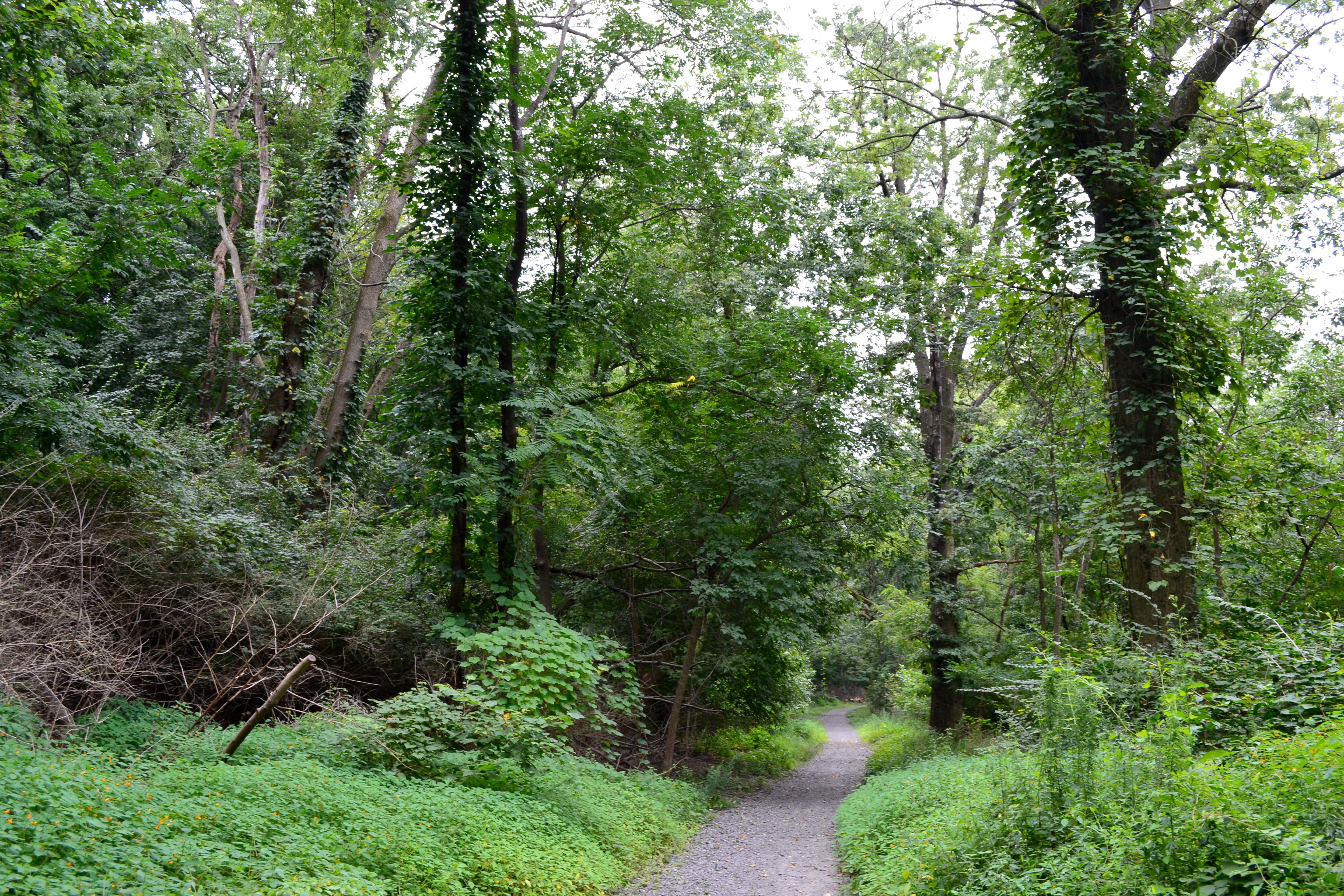 Rob Armstrong warned that the off road trails are probably not appropriate for road bikes