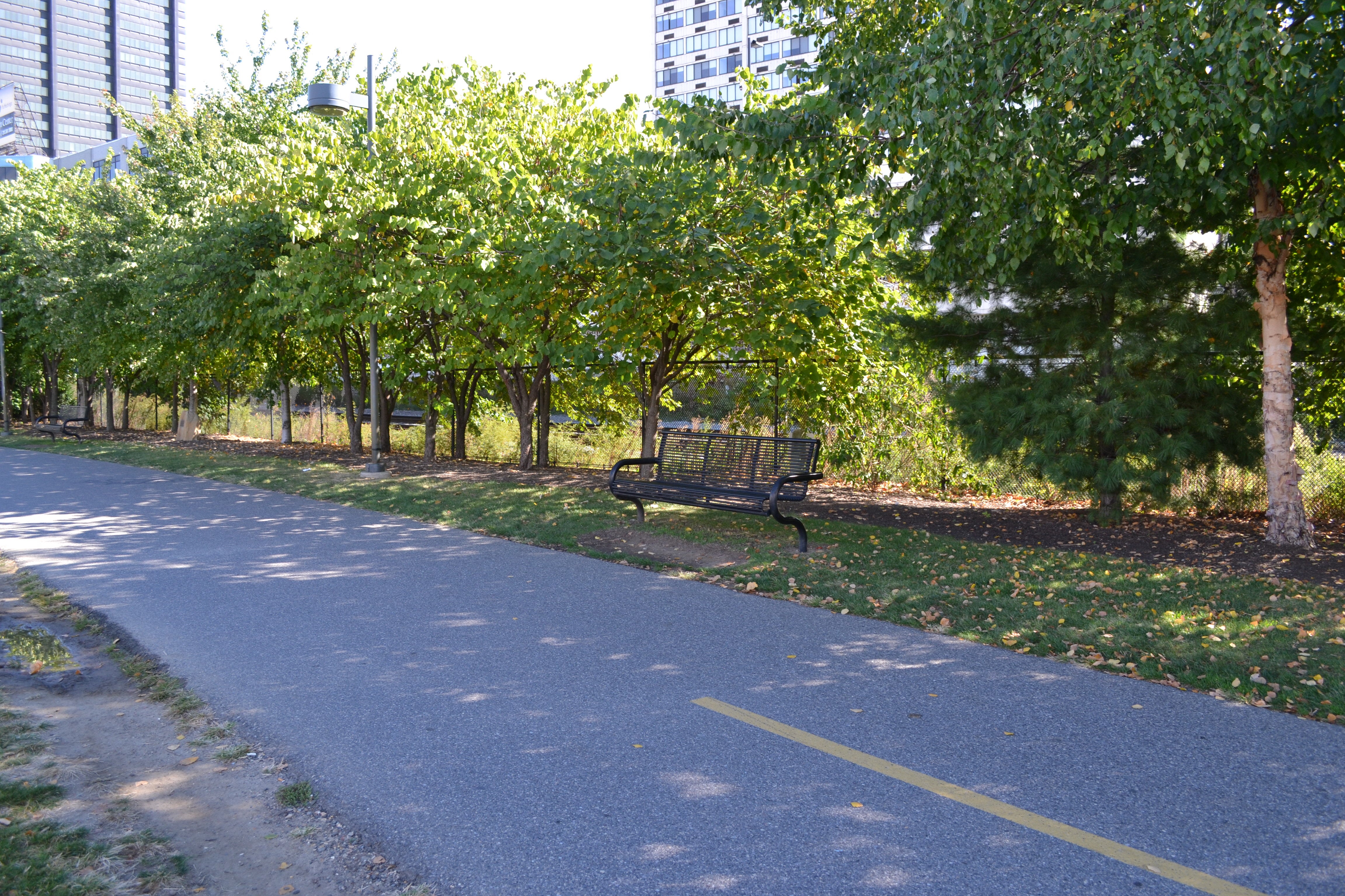 Schuylkill Banks offers new adopt-a-bench program