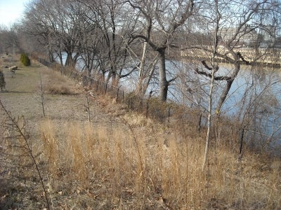 Schuylkill River edge at Dupont Crescent (aka Grays Ferry Crescent) | Sean O'Rourke