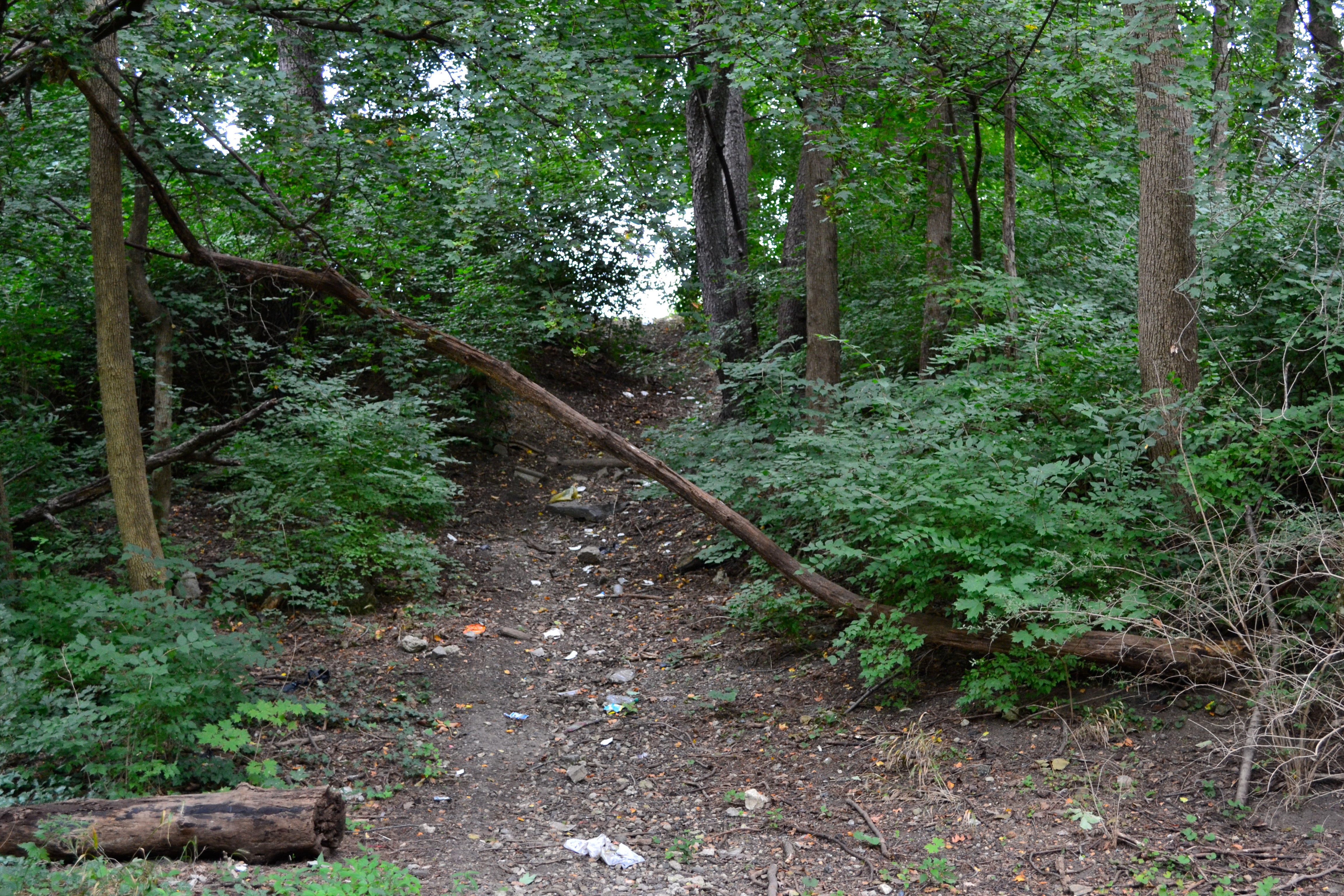 Some unofficial access points like the paved Cobbs Creek Trail with unpaved, off road trails