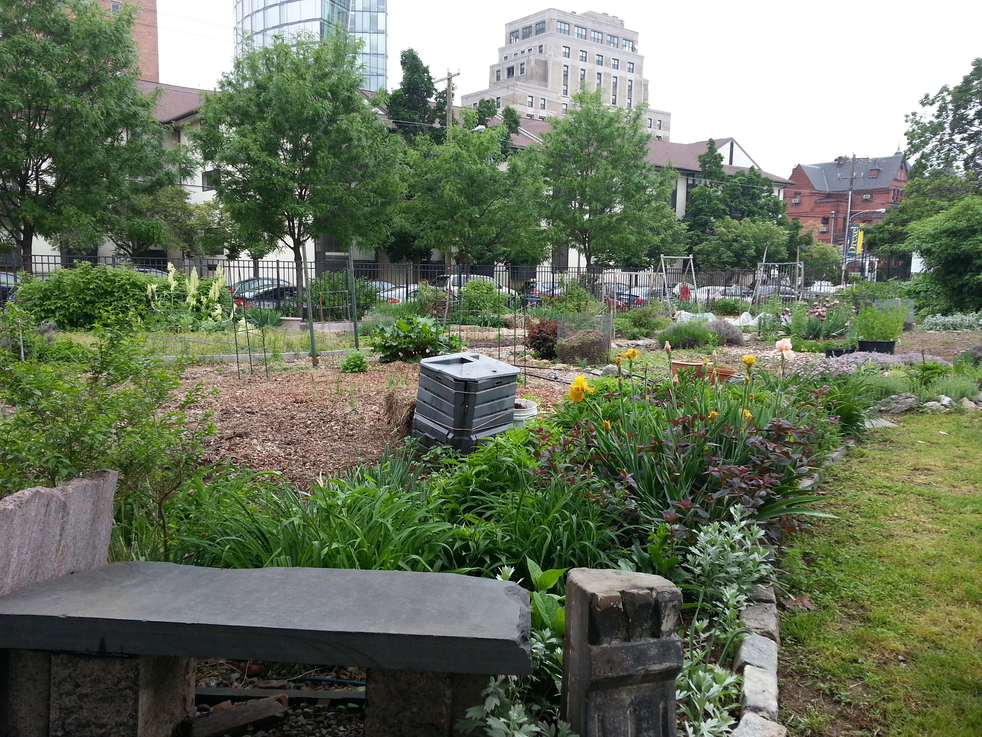 Summer Winter Community Garden in its Powelton Village neighborhood