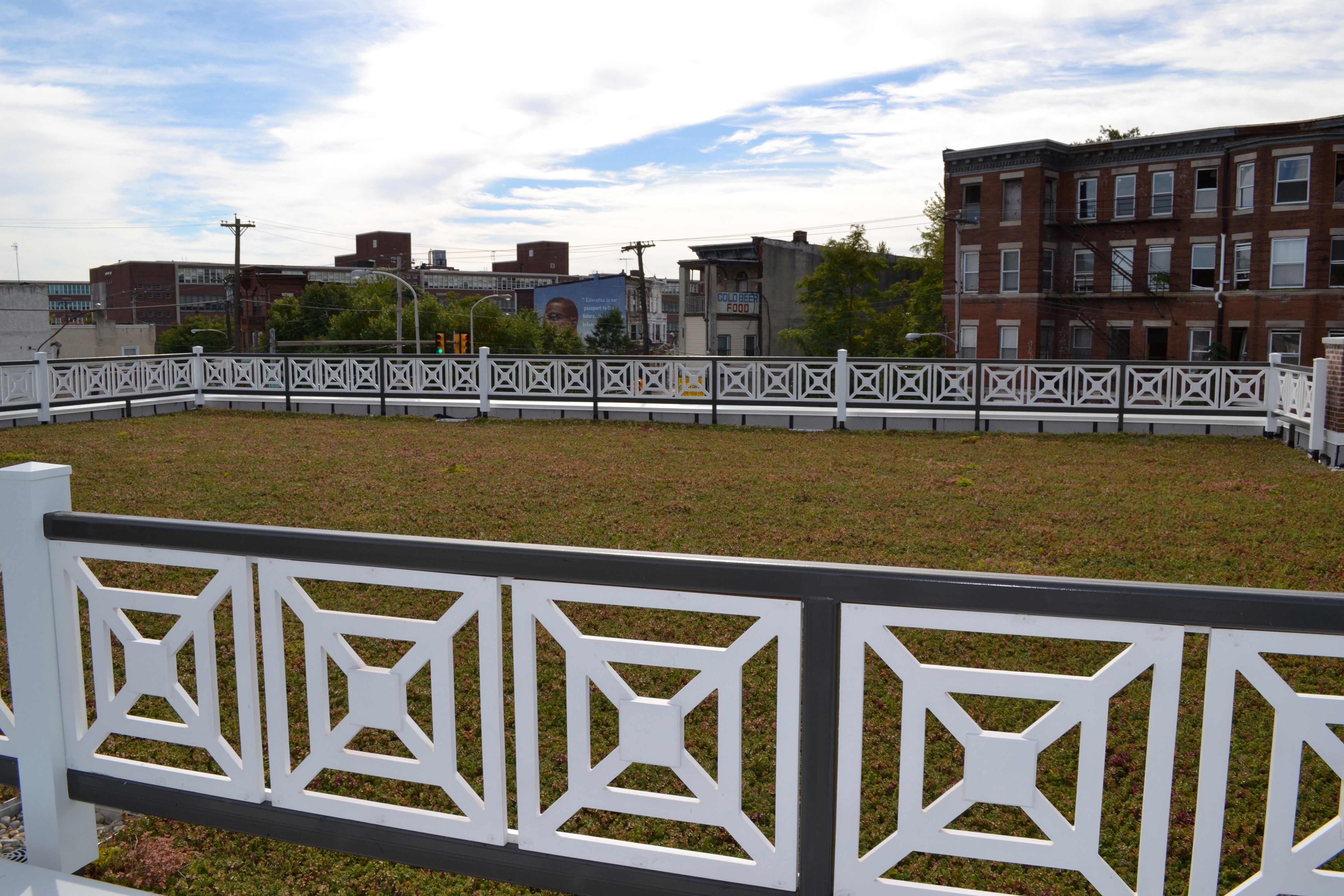 The 4,000-square-foot green roof will help reduce storm water runoff