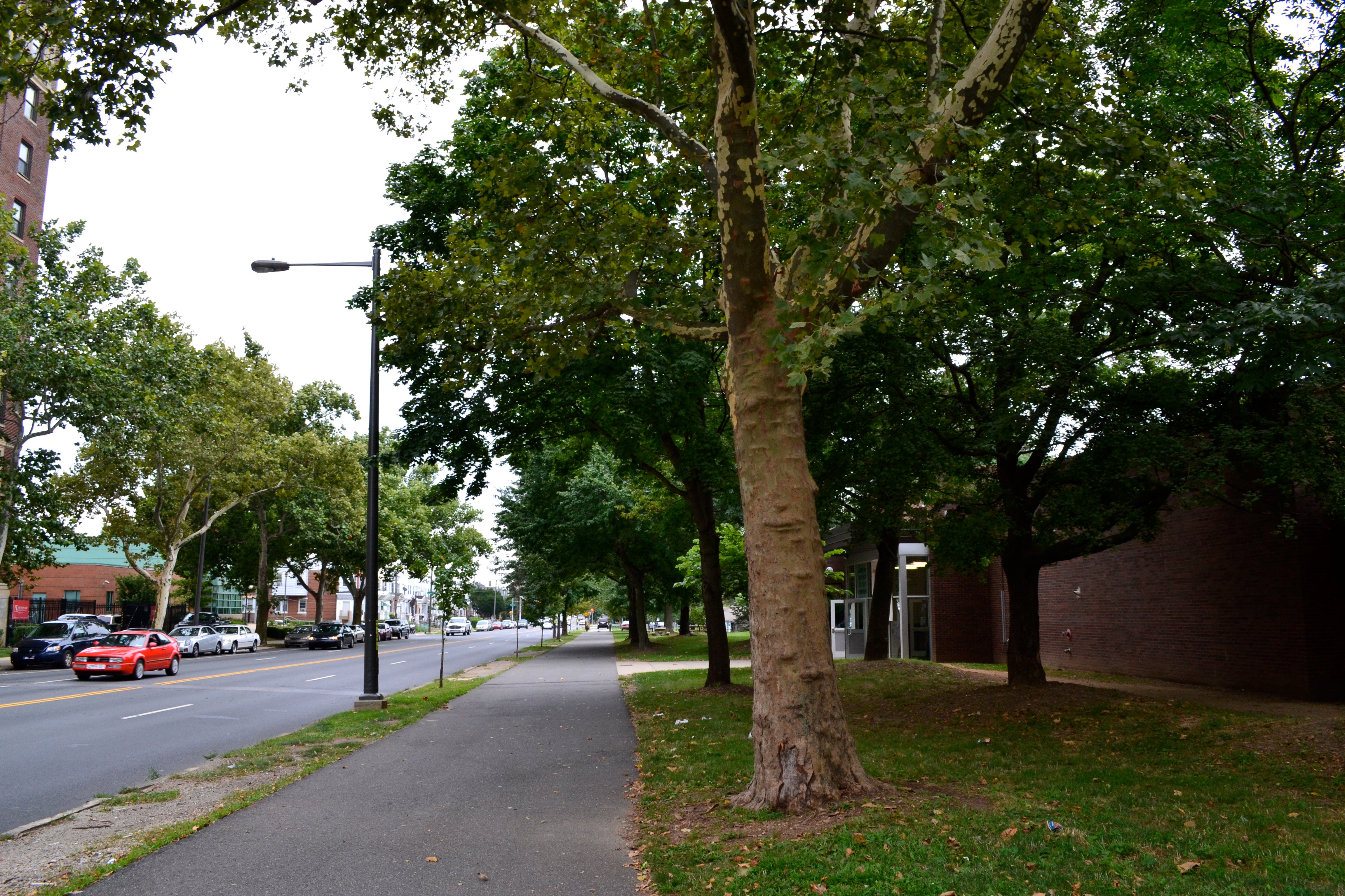 The majority of the trail runs between Cobbs Creek Park and Cobbs Creek Parkway