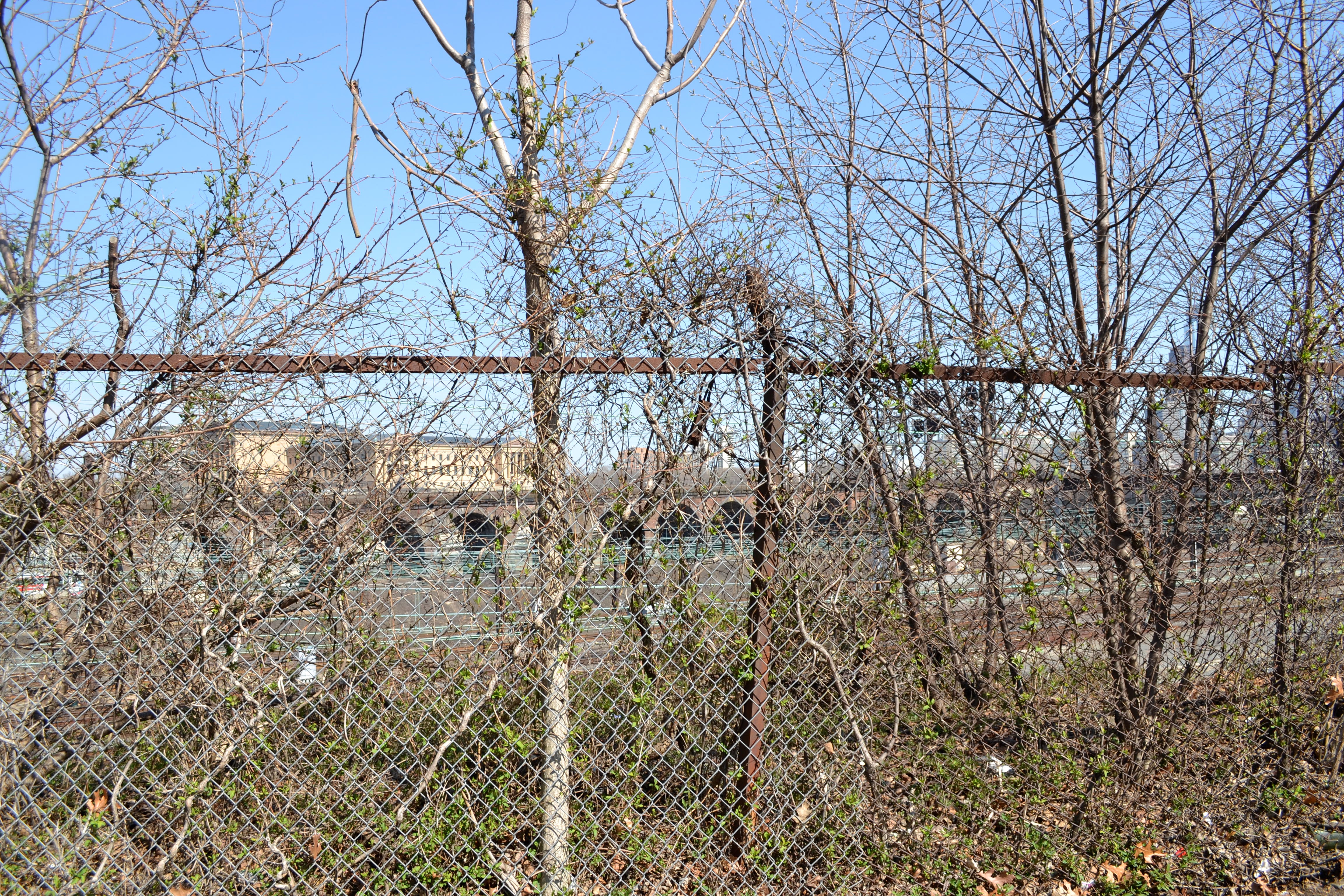 The Philadelphia Museum of Art can be spotted through the overgrown chain link fence